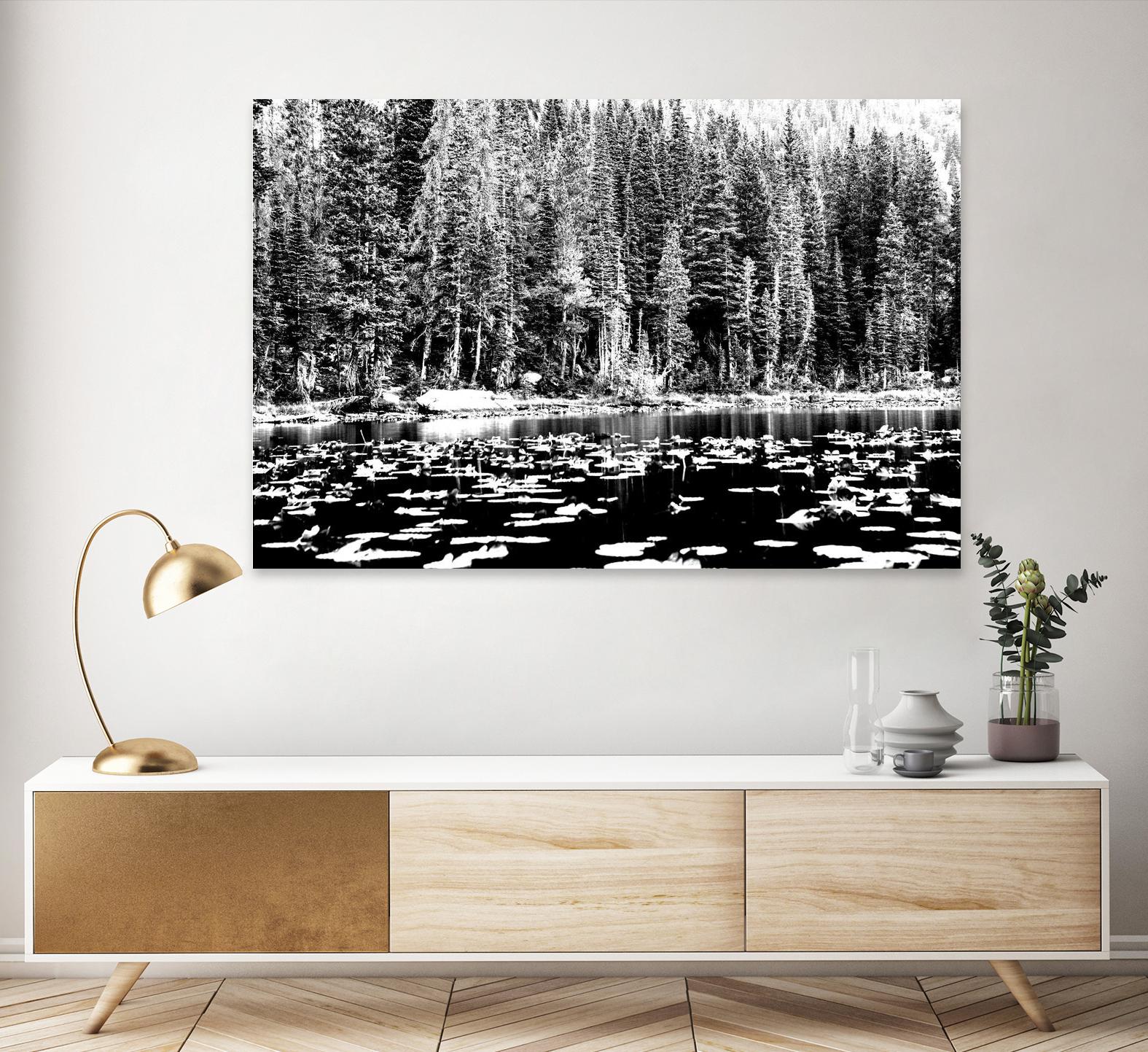 Green Dreams by Aaron Matheson on GIANT ART - white landscape