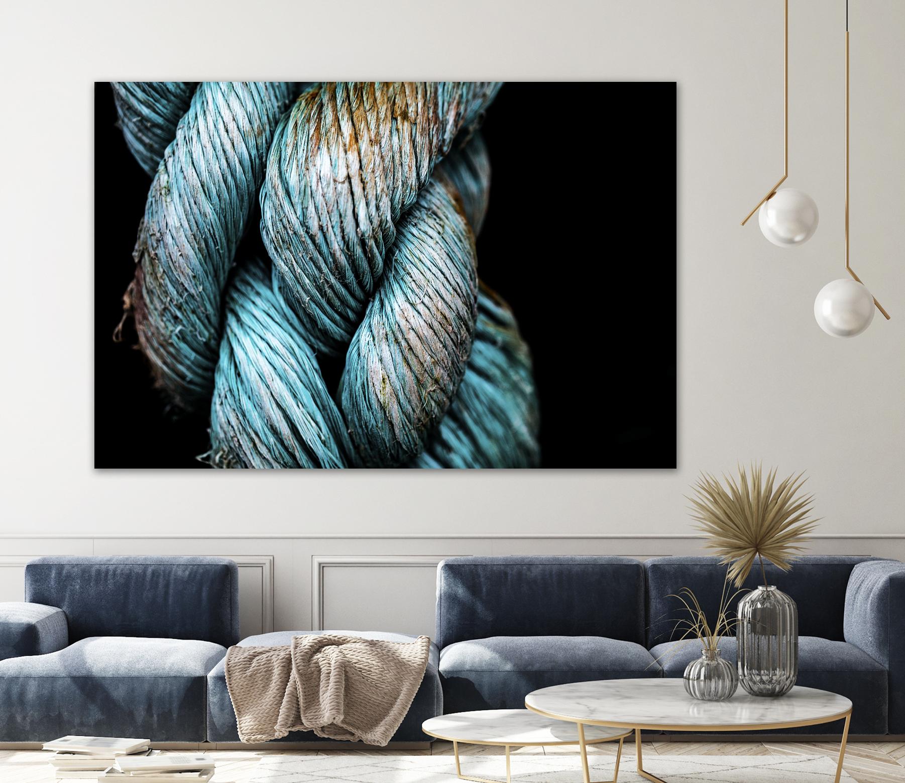 Ties that Bind by Melissa McClain on GIANT ART - black photo art