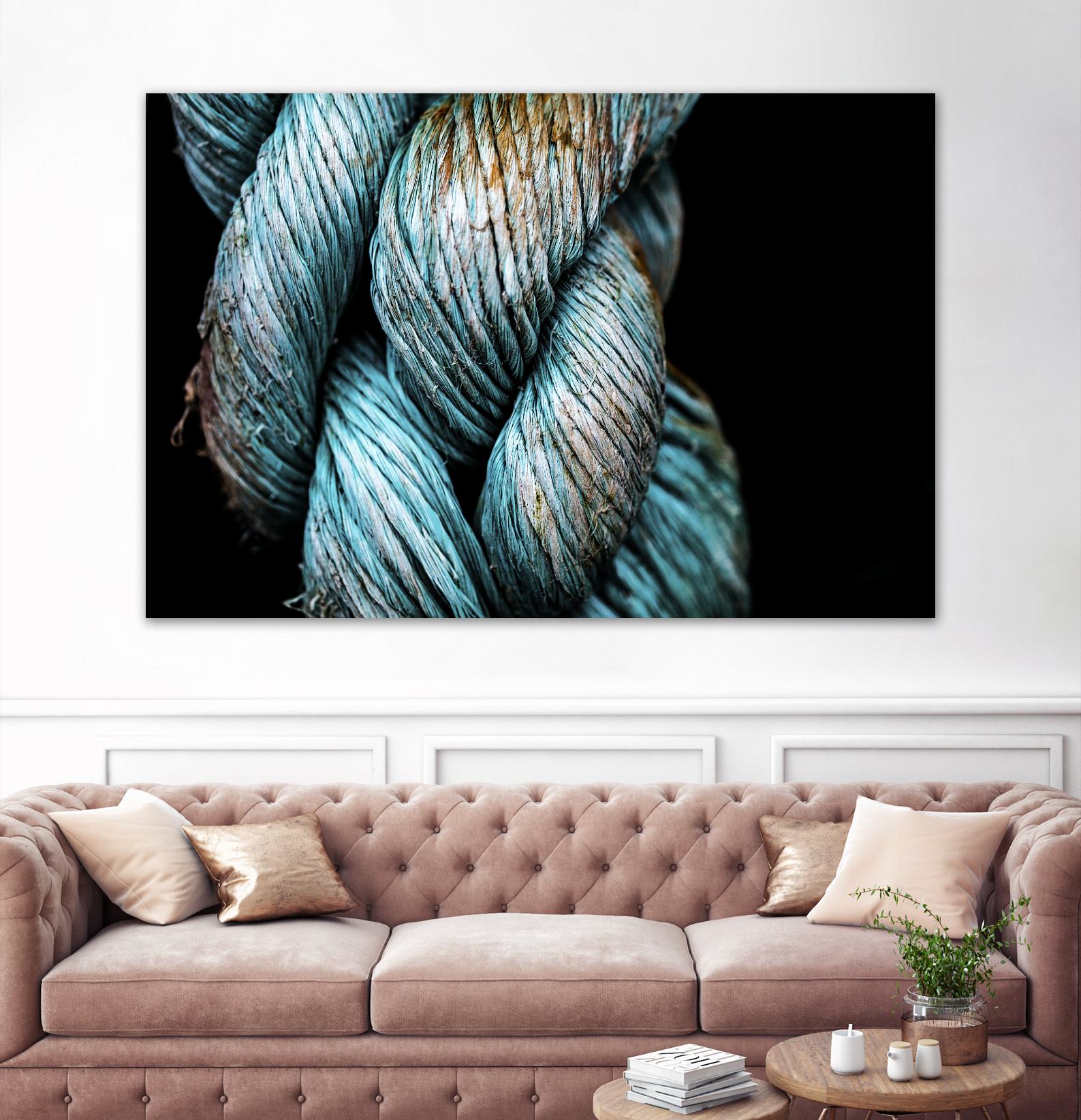 Ties that Bind by Melissa McClain on GIANT ART - black photo art