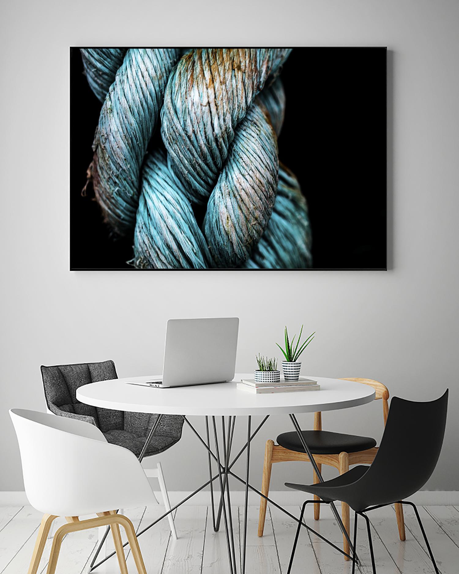 Ties that Bind by Melissa McClain on GIANT ART - black photo art