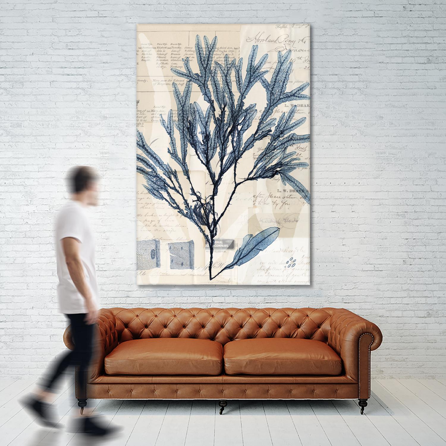 Seaweed Arrangement I by Vision Studio on GIANT ART - blue tropical