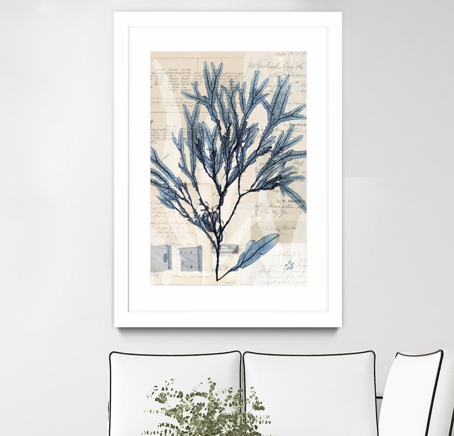 Seaweed Arrangement I by Vision Studio on GIANT ART - blue tropical