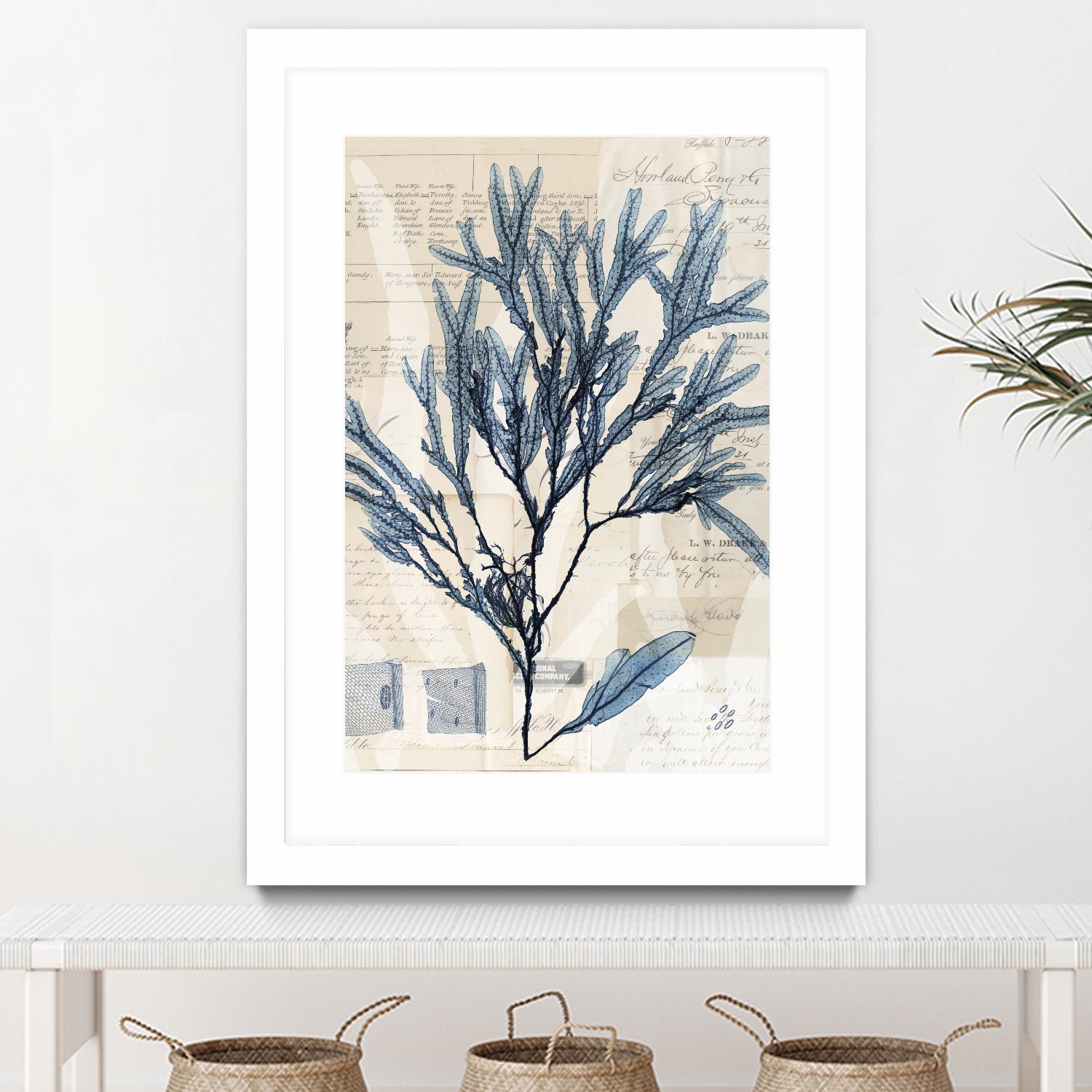 Seaweed Arrangement I by Vision Studio on GIANT ART - blue tropical