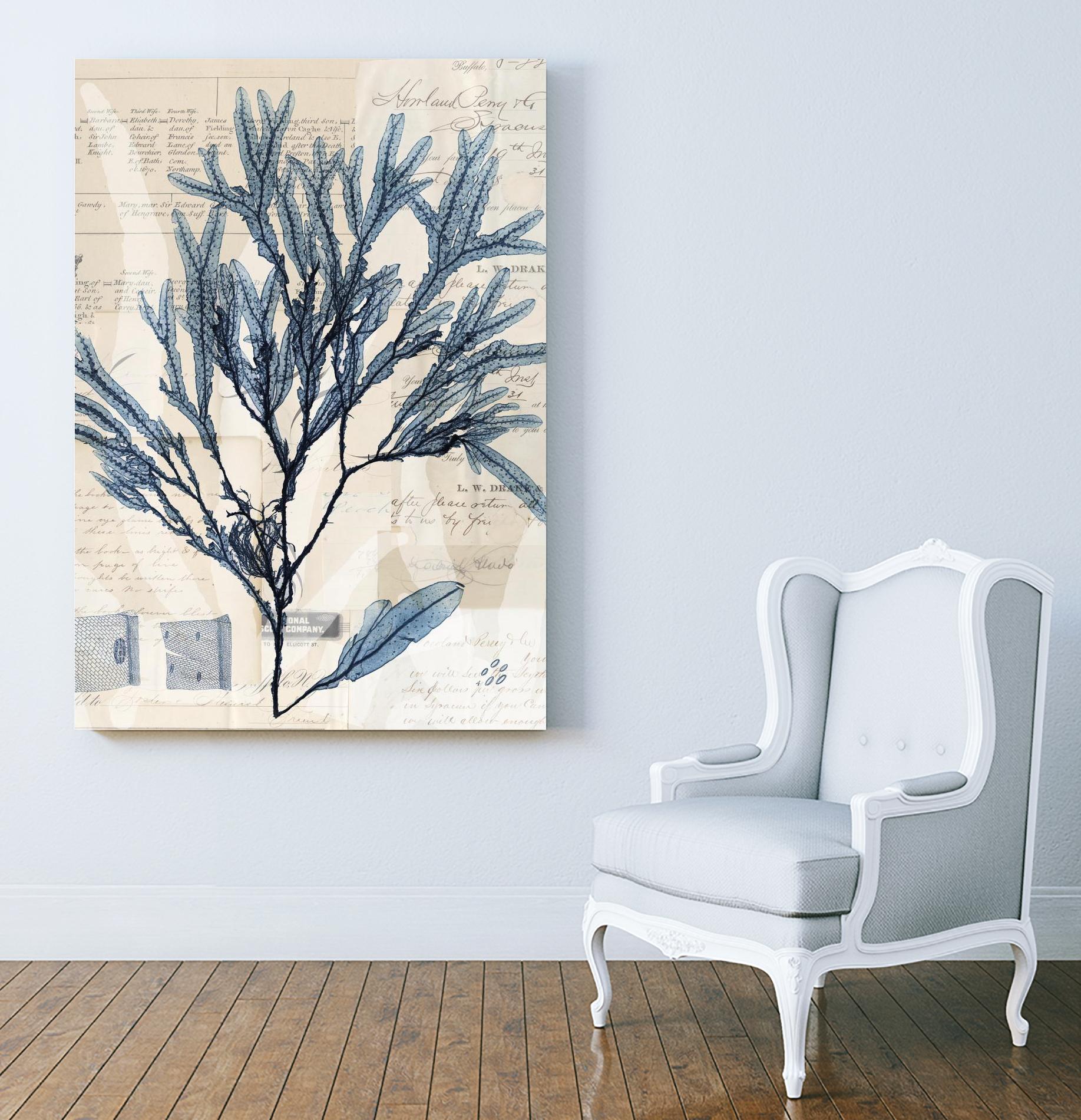 Seaweed Arrangement I by Vision Studio on GIANT ART - blue tropical