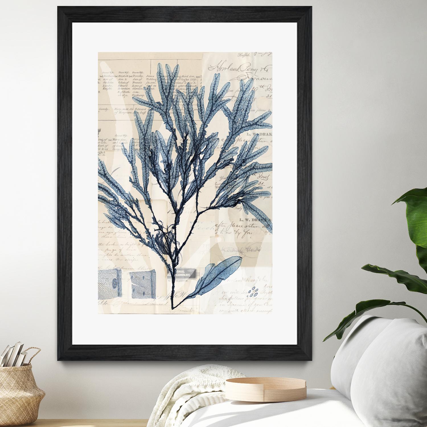 Seaweed Arrangement I by Vision Studio on GIANT ART - blue tropical