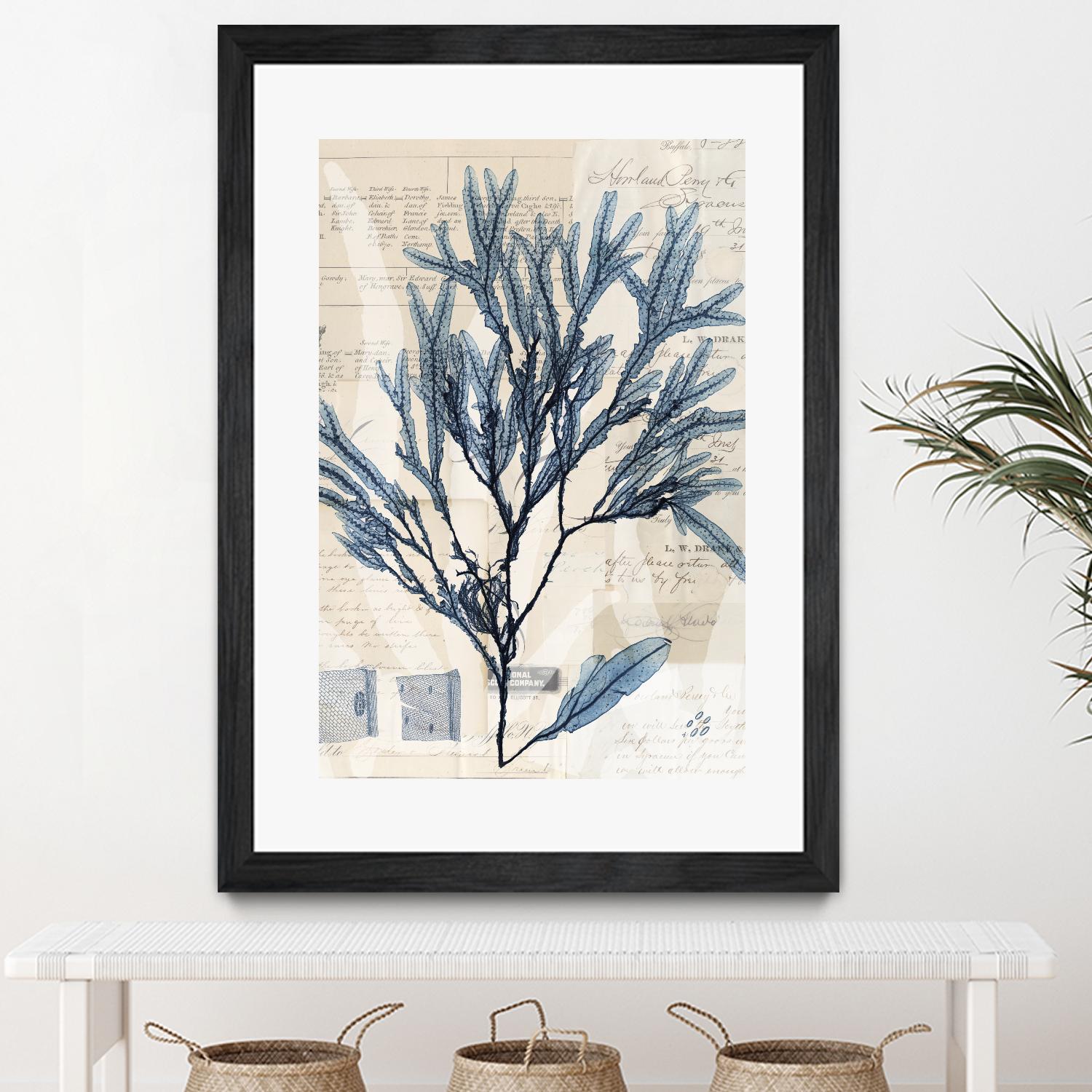 Seaweed Arrangement I by Vision Studio on GIANT ART - blue tropical