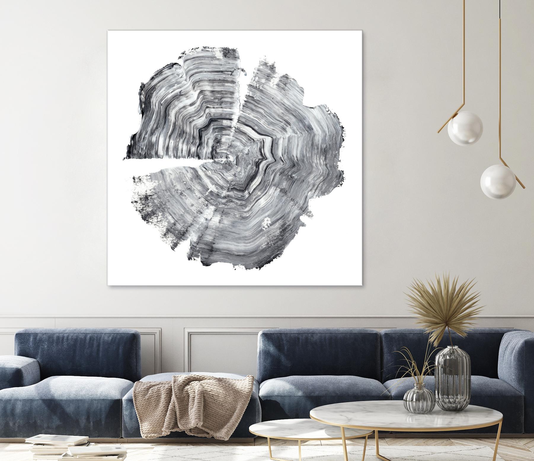 Tree Ring Abstract IV by Ethan Harper on GIANT ART - black abstract