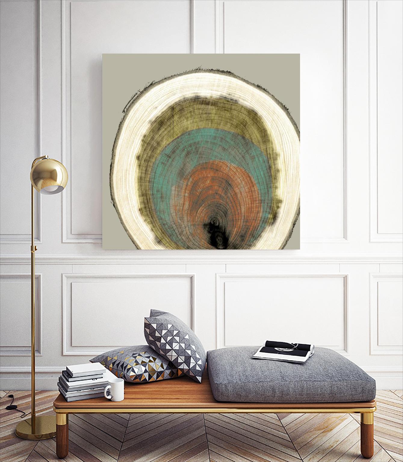 Colored Rings I by Studio W on GIANT ART - brown abstract