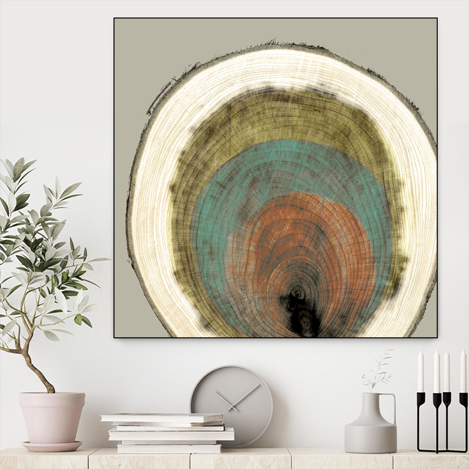 Colored Rings I by Studio W on GIANT ART - brown abstract