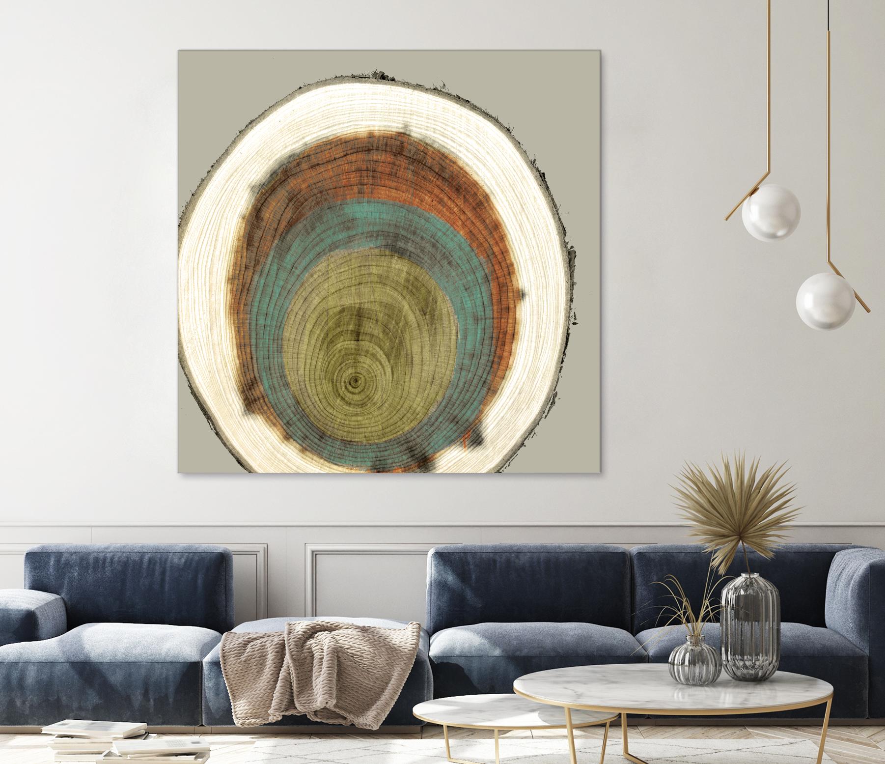 Colored Rings II by Studio W on GIANT ART - brown abstract