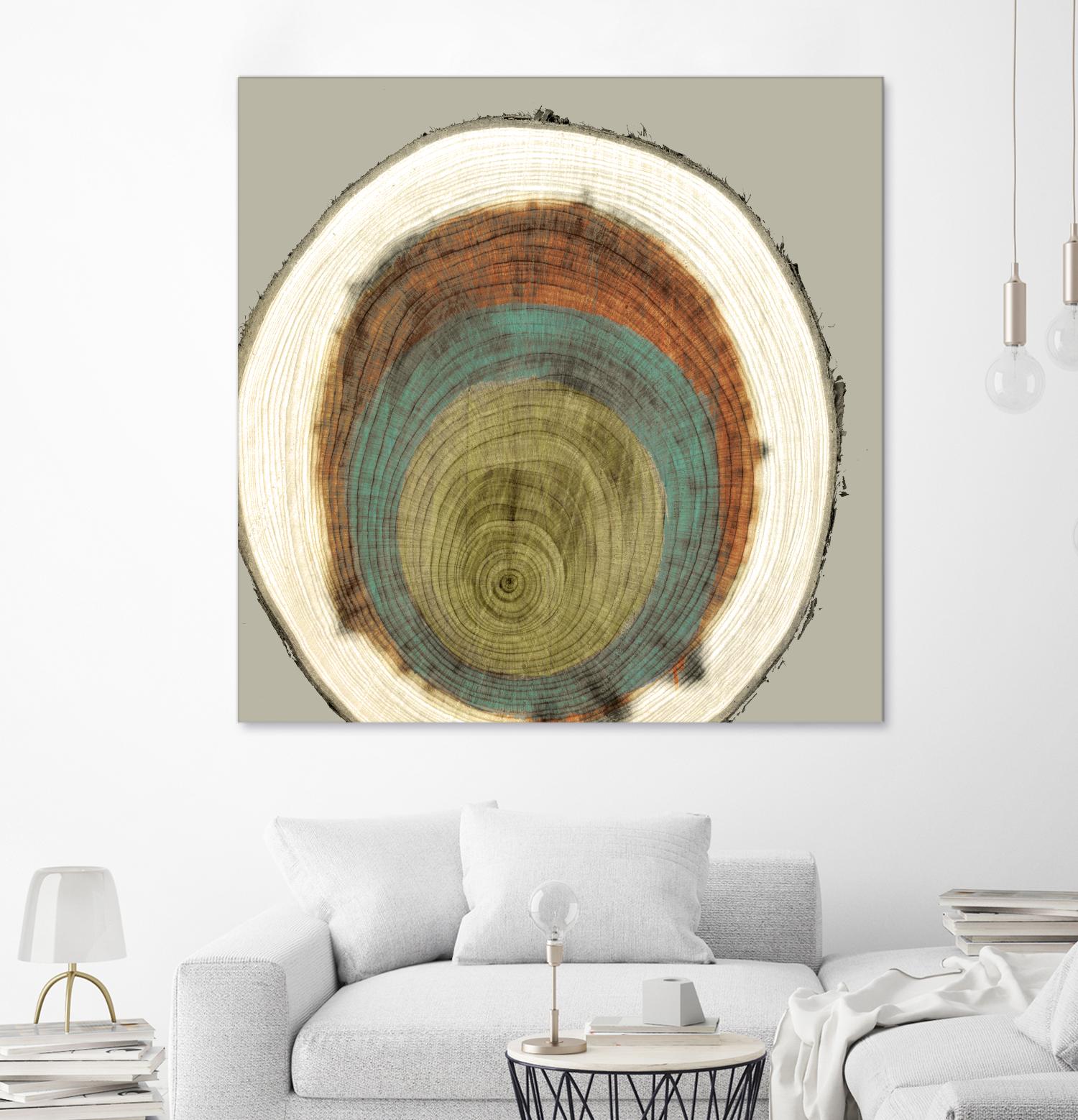 Colored Rings II by Studio W on GIANT ART - brown abstract