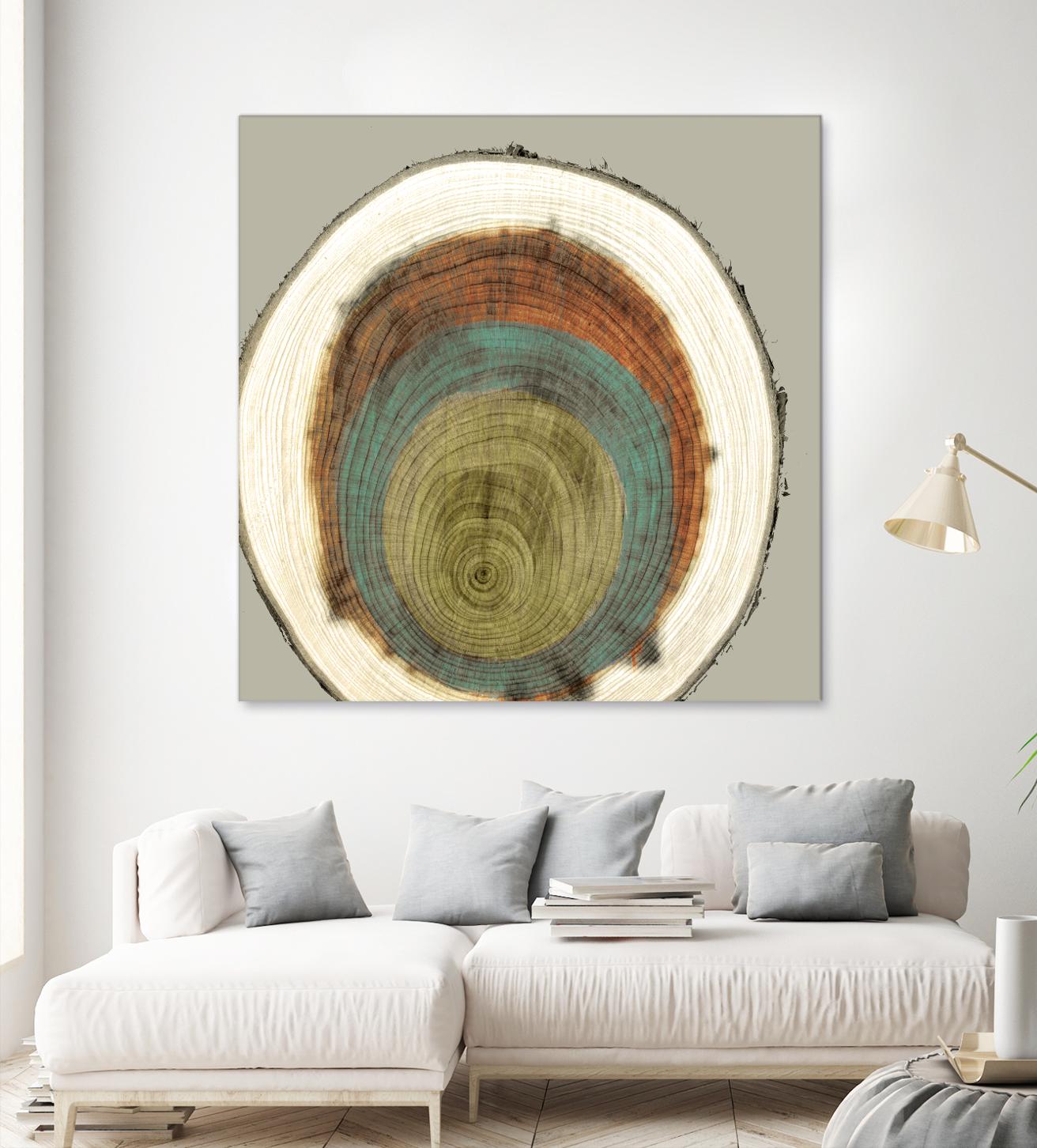Colored Rings II by Studio W on GIANT ART - brown abstract