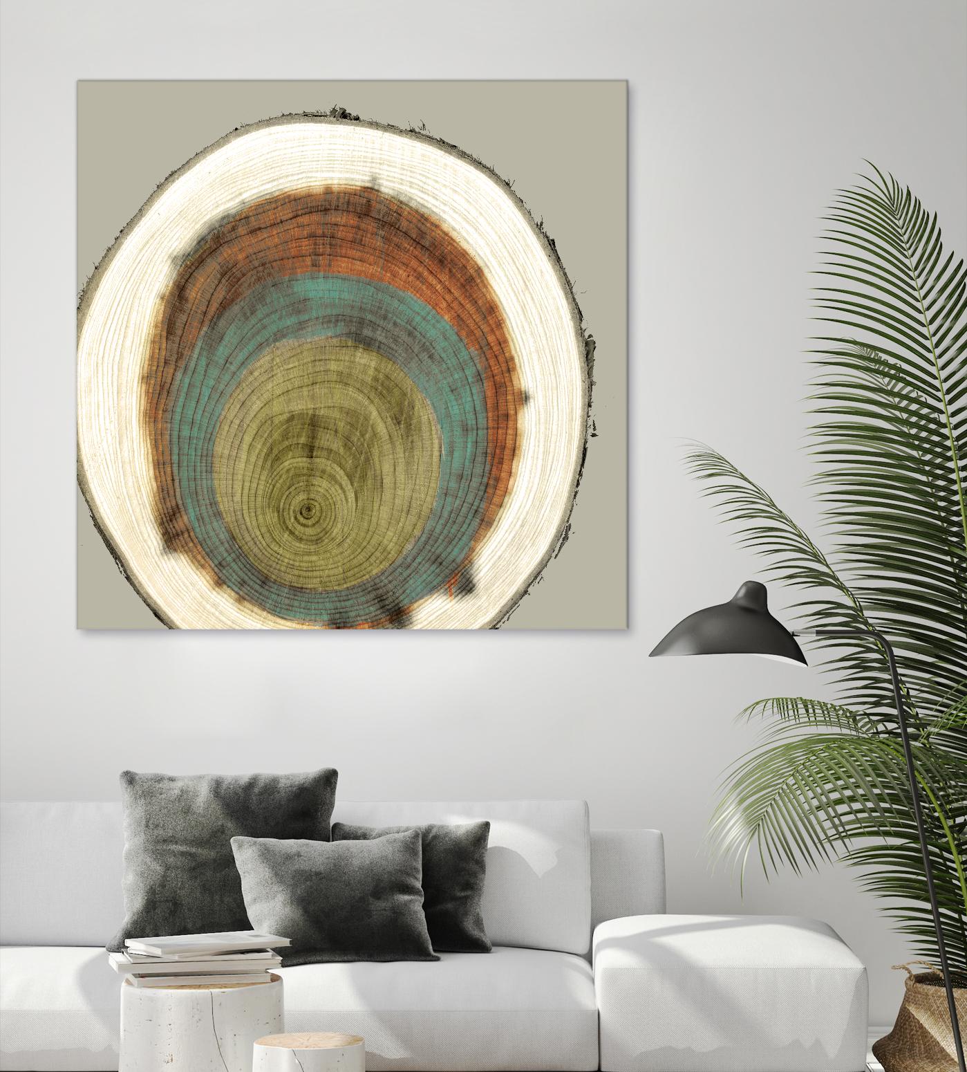 Colored Rings II by Studio W on GIANT ART - brown abstract