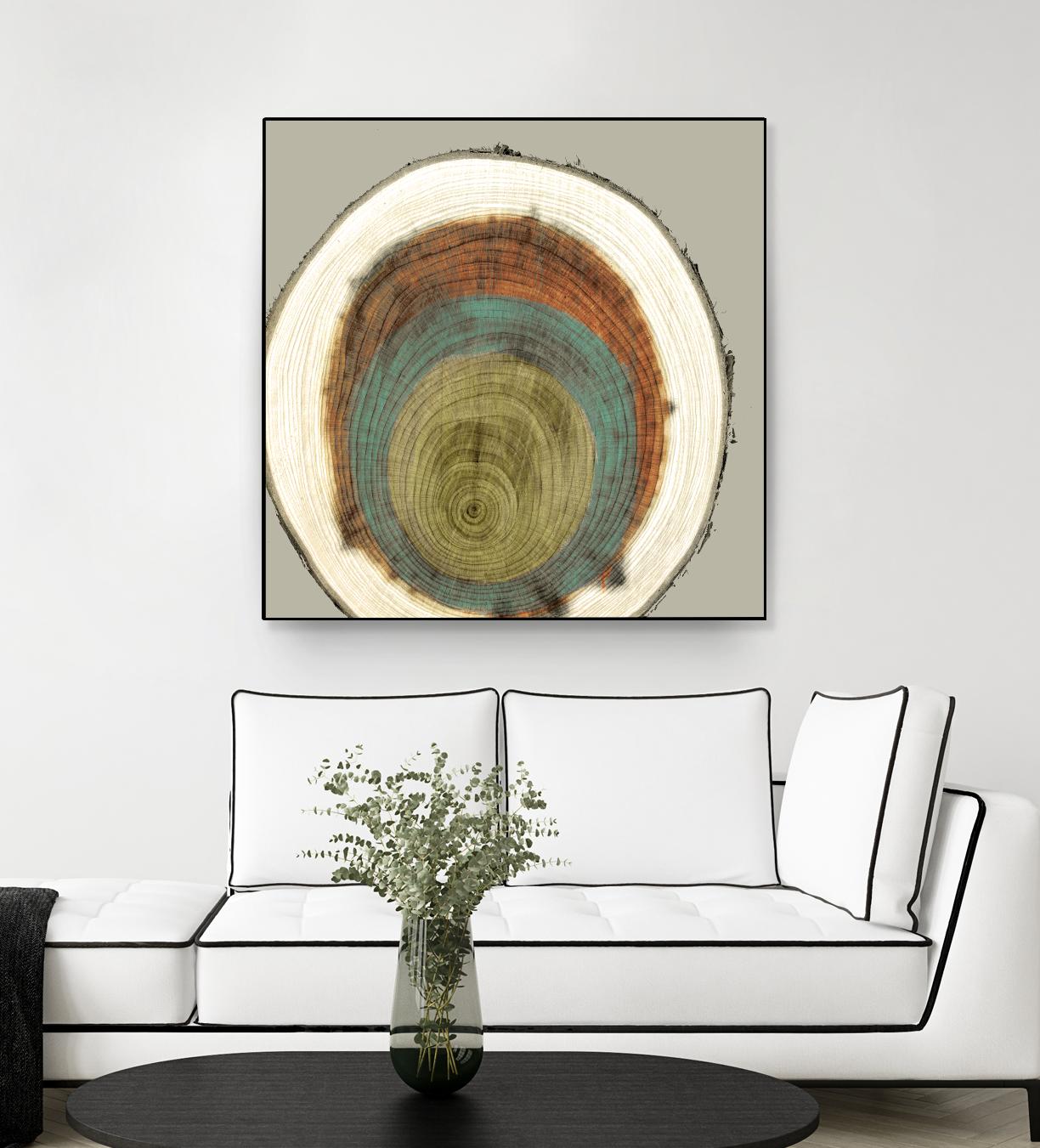 Colored Rings II by Studio W on GIANT ART - brown abstract
