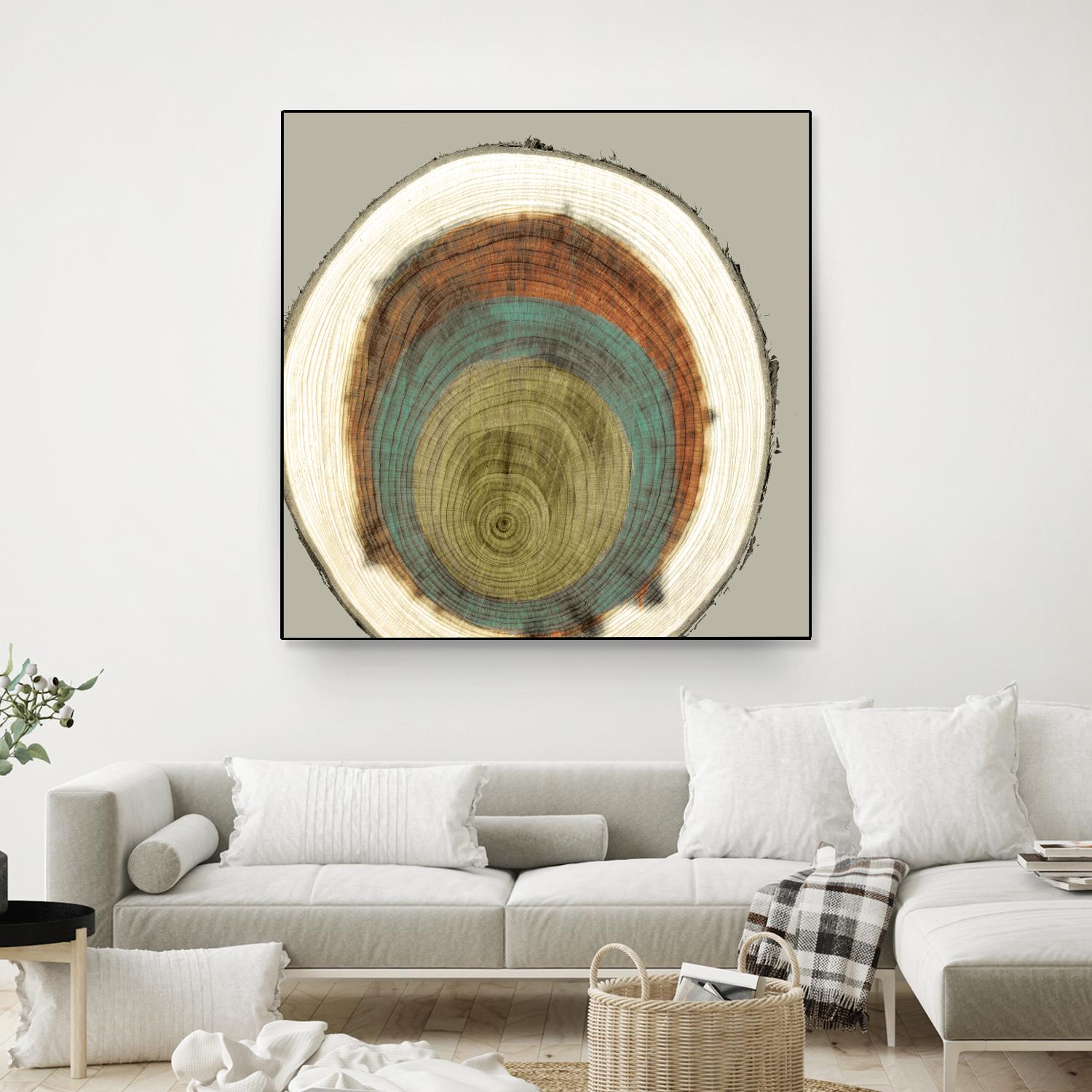 Colored Rings II by Studio W on GIANT ART - brown abstract