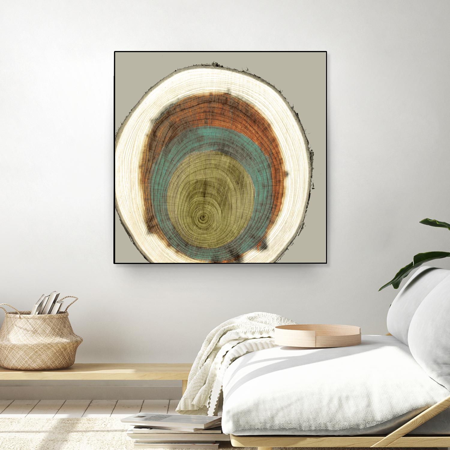 Colored Rings II by Studio W on GIANT ART - brown abstract