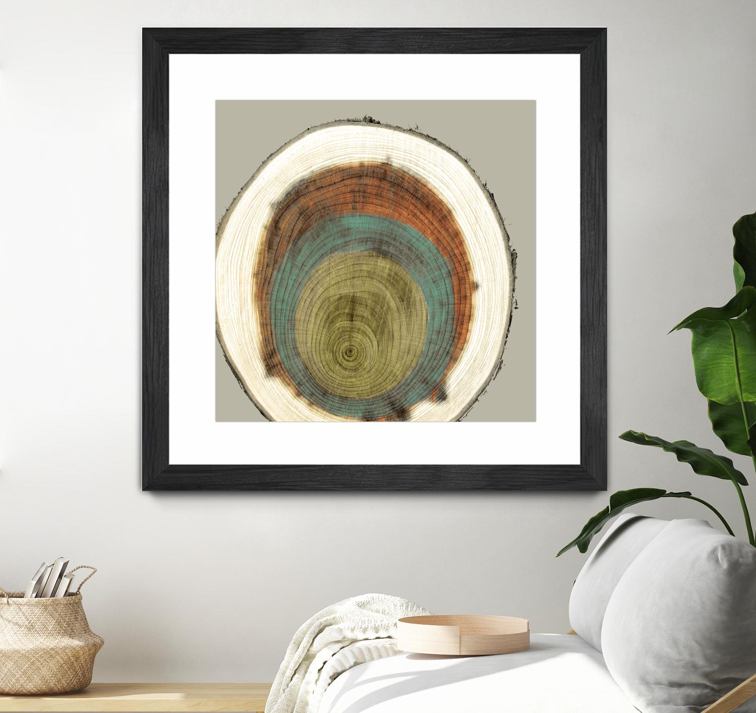 Colored Rings II by Studio W on GIANT ART - brown abstract