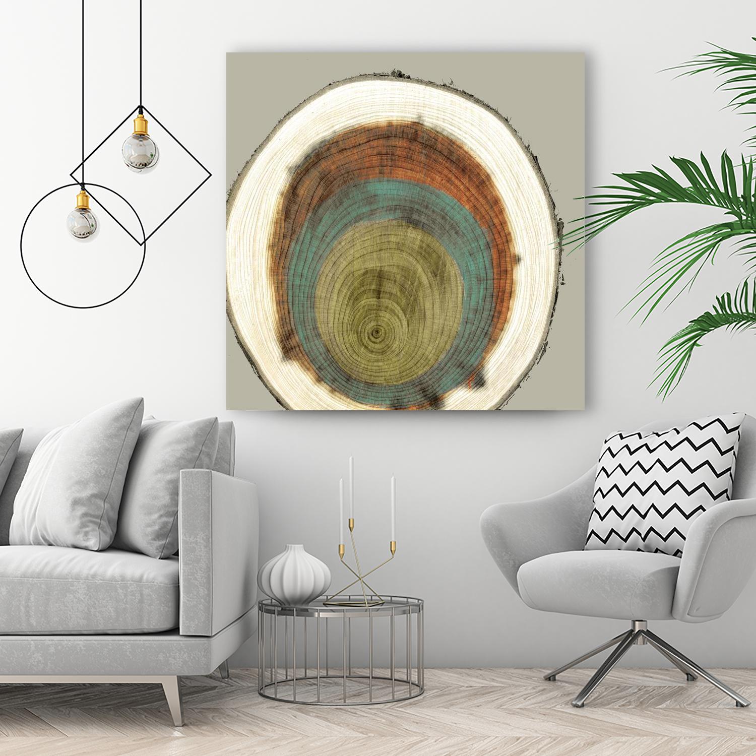 Colored Rings II by Studio W on GIANT ART - brown abstract