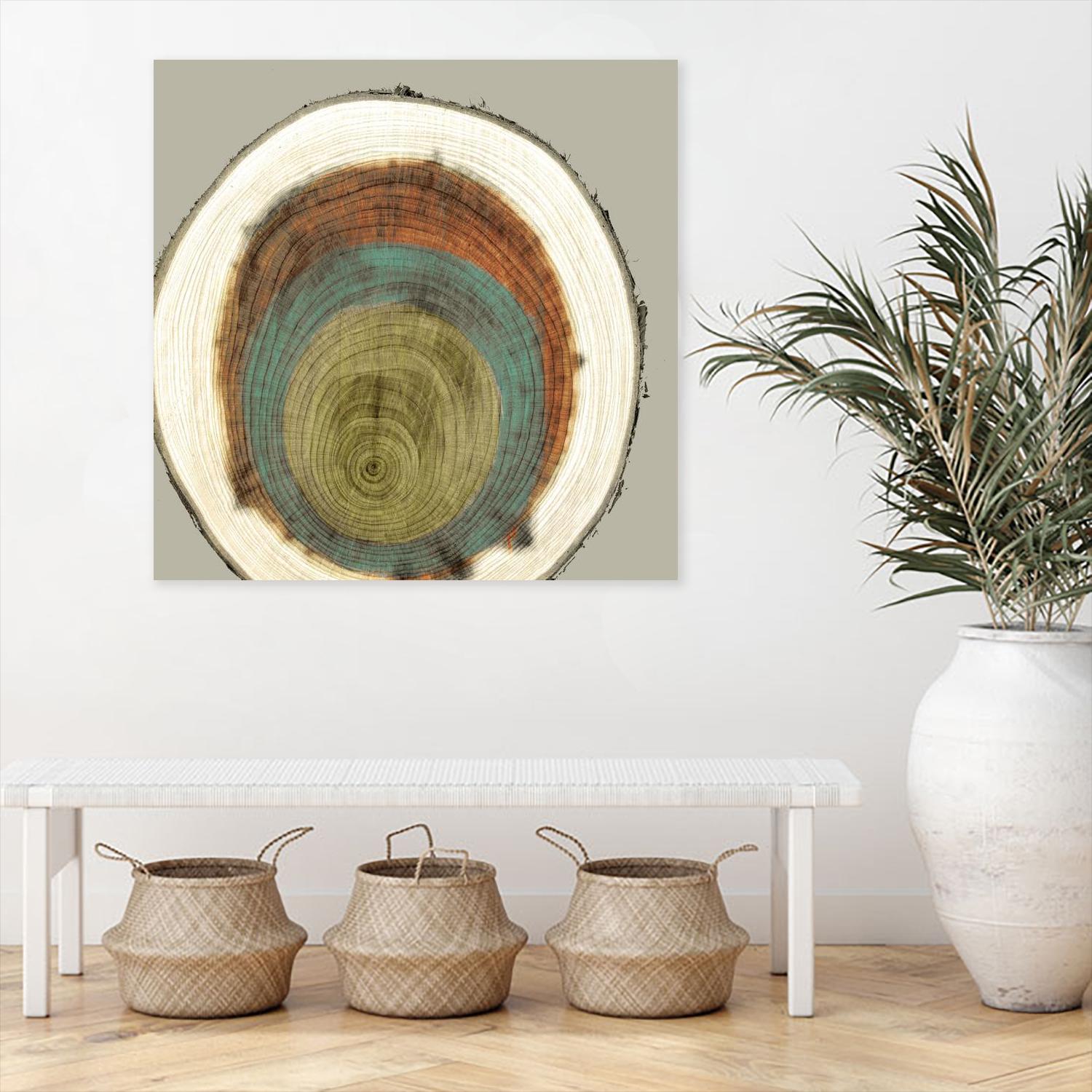 Colored Rings II by Studio W on GIANT ART - brown abstract