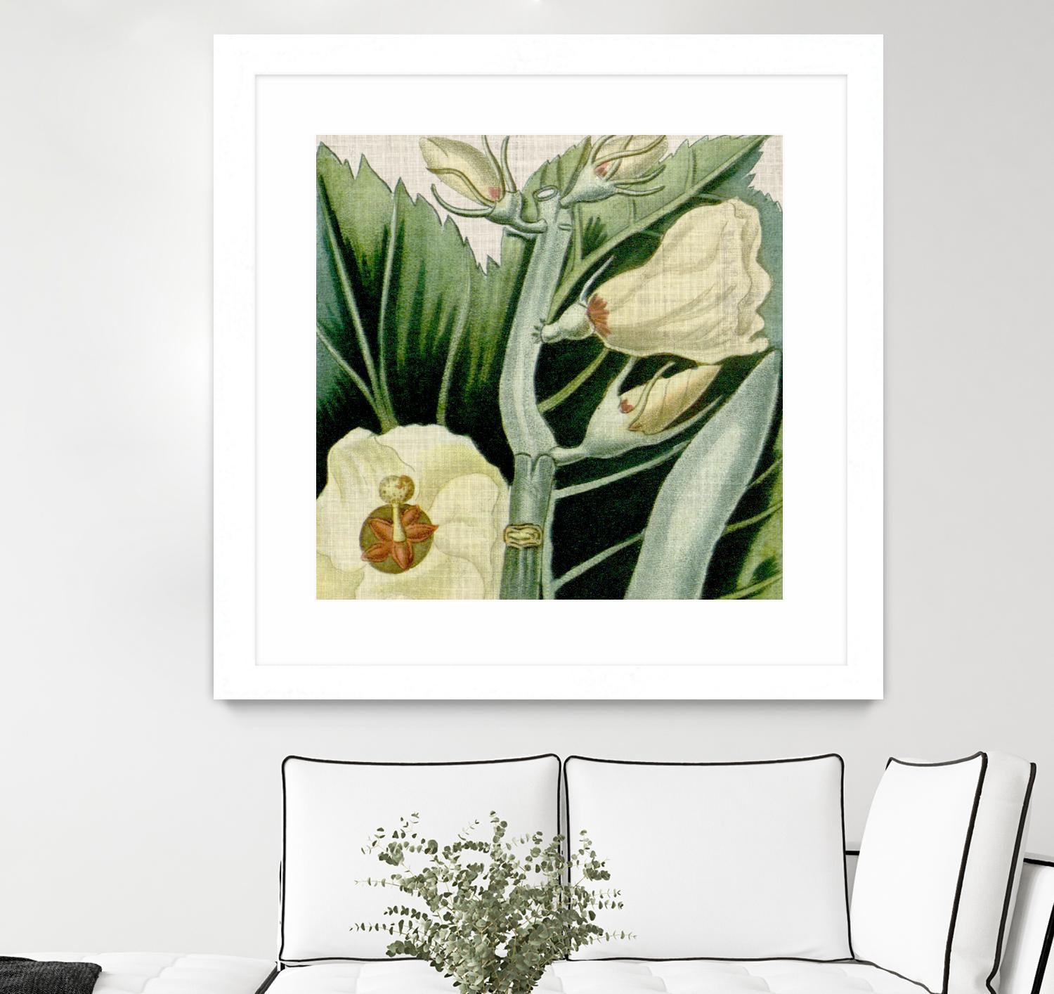 Cropped Turpin Tropicals III by Vision Studio on GIANT ART - botanical & floral