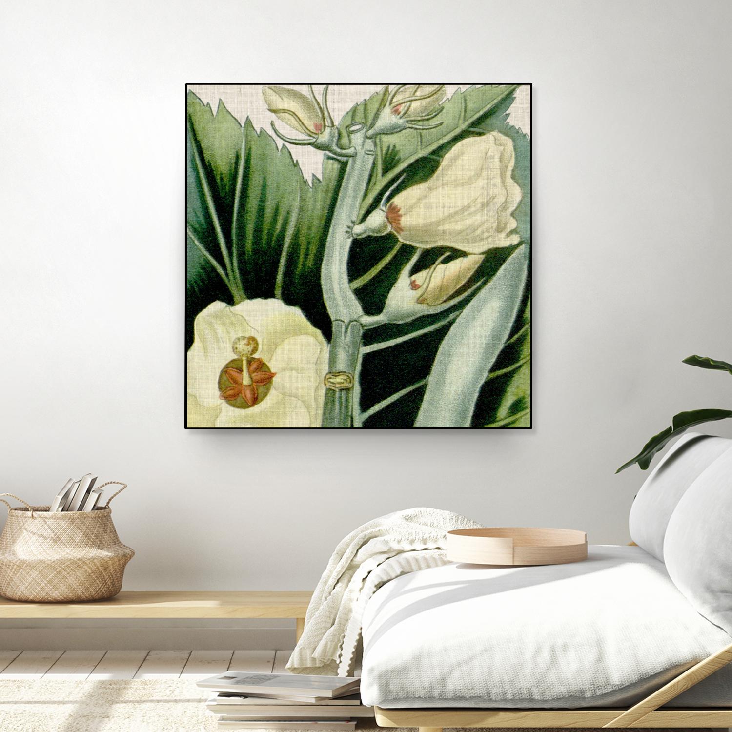 Cropped Turpin Tropicals III by Vision Studio on GIANT ART - botanical & floral