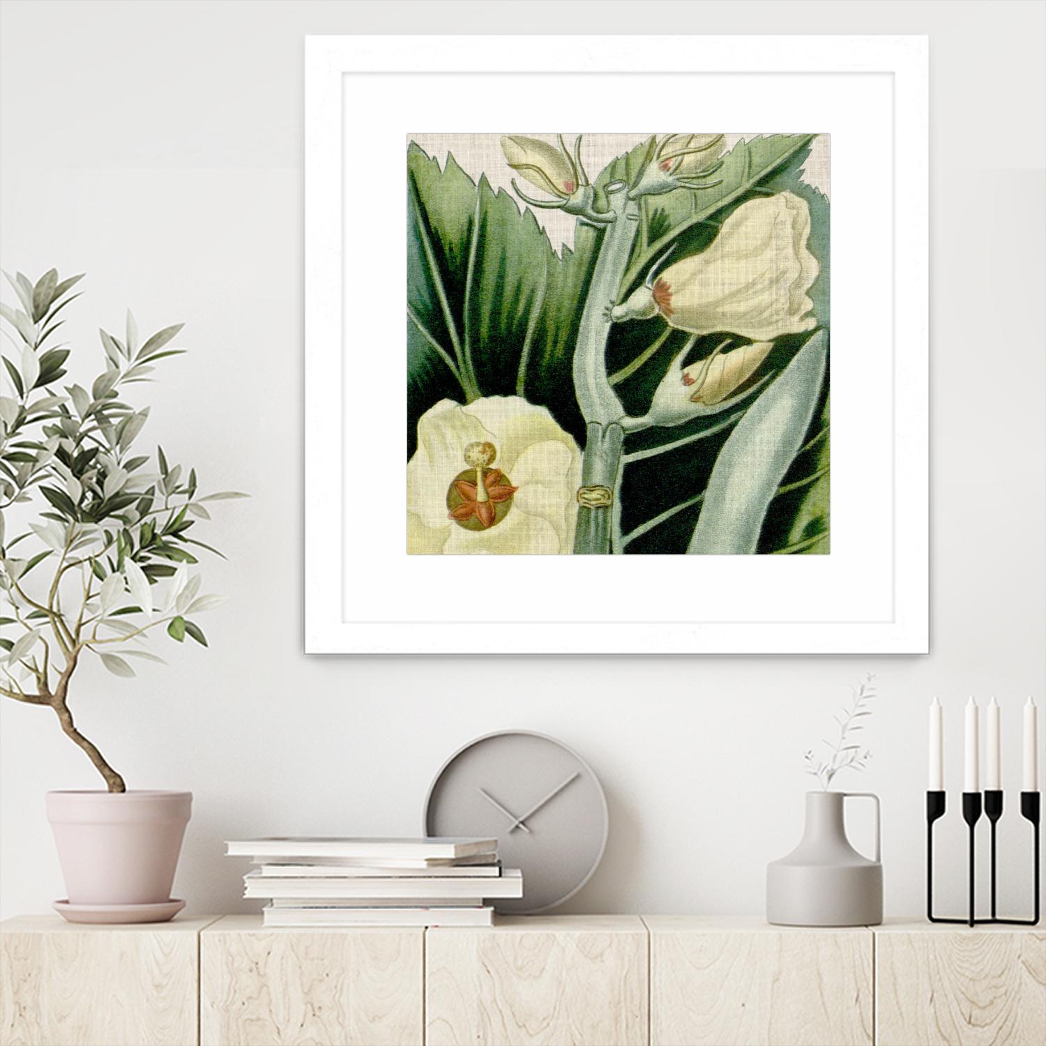 Cropped Turpin Tropicals III by Vision Studio on GIANT ART - botanical & floral