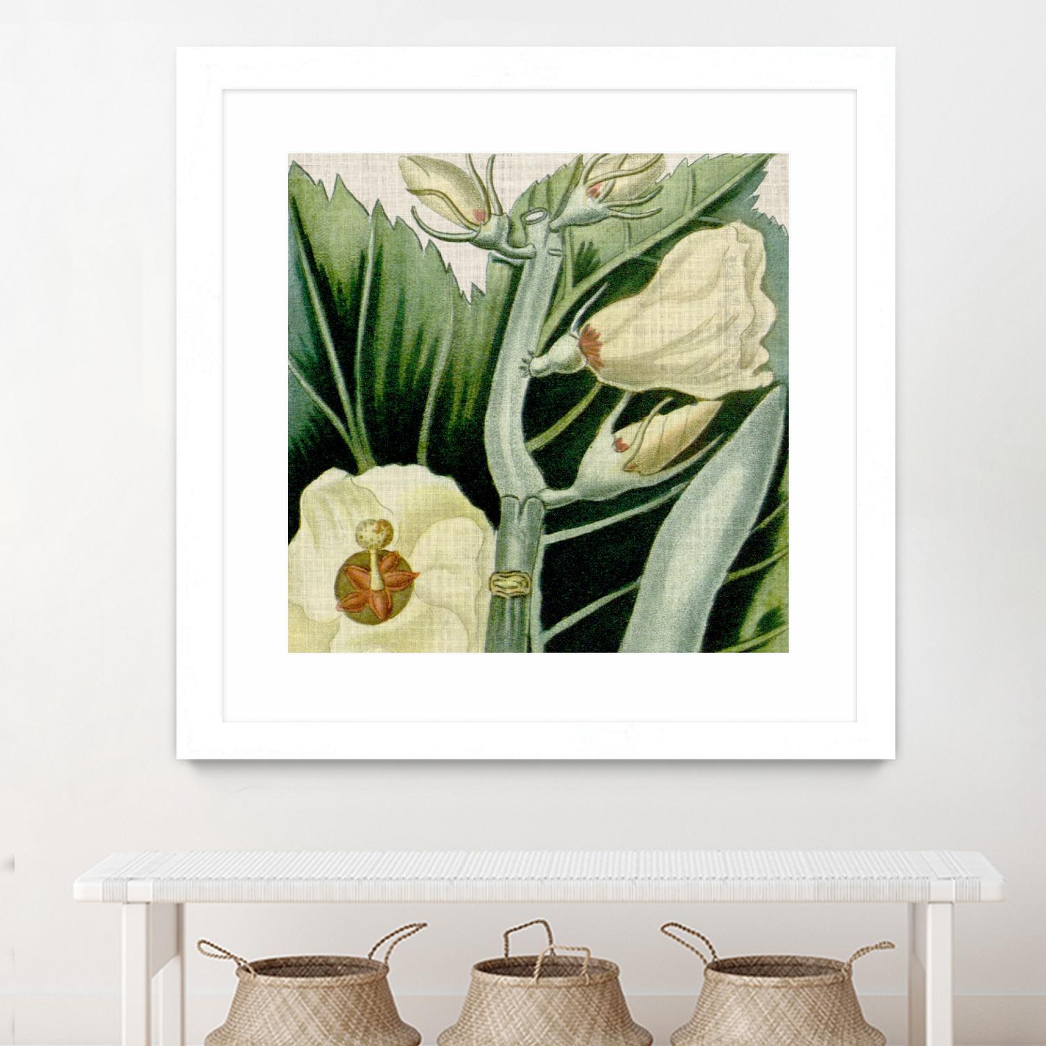 Cropped Turpin Tropicals III by Vision Studio on GIANT ART - botanical & floral