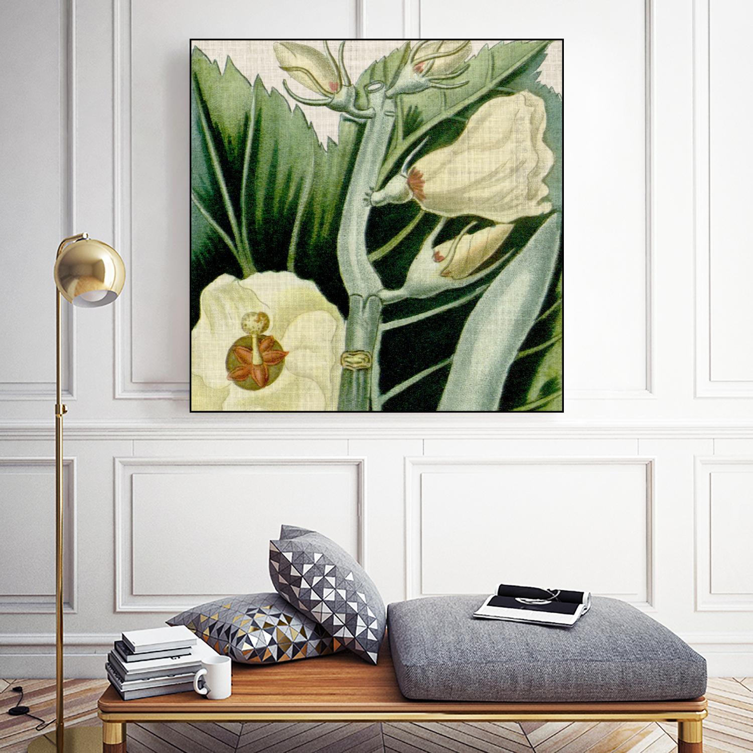 Cropped Turpin Tropicals III by Vision Studio on GIANT ART - botanical & floral