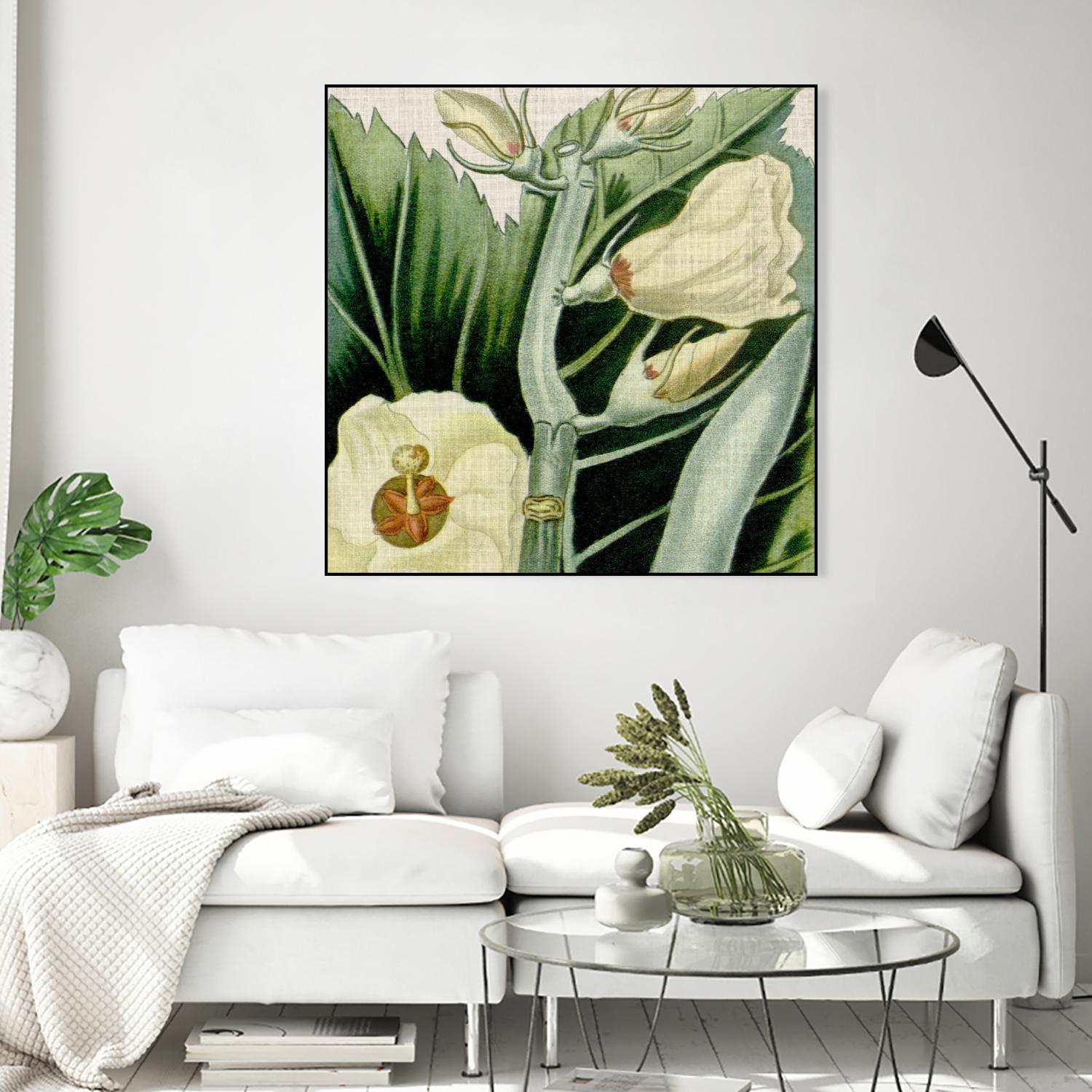 Cropped Turpin Tropicals III by Vision Studio on GIANT ART - botanical & floral