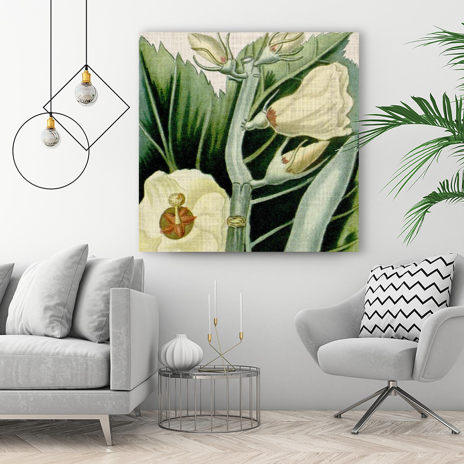 Cropped Turpin Tropicals III by Vision Studio on GIANT ART - botanical & floral