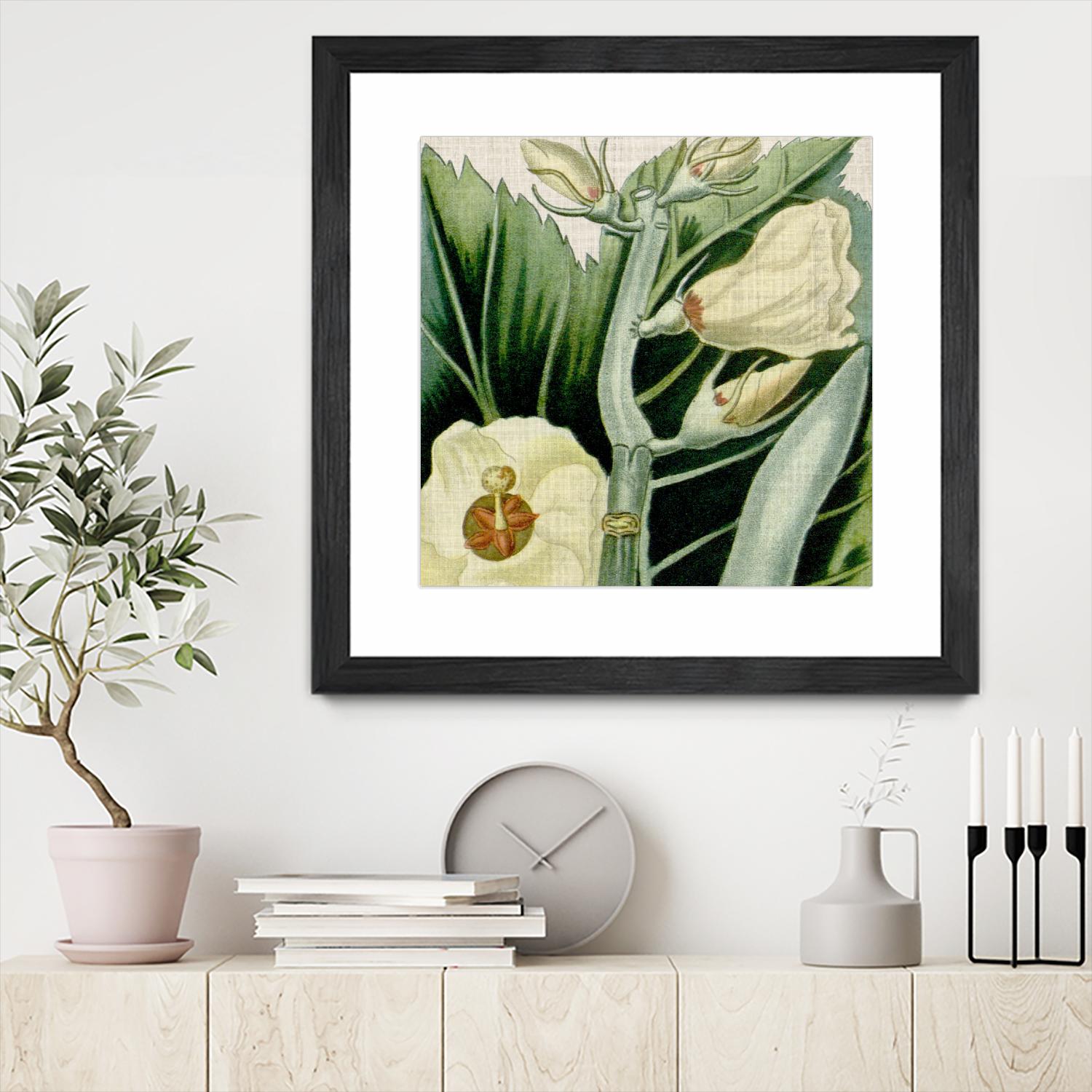 Cropped Turpin Tropicals III by Vision Studio on GIANT ART - botanical & floral