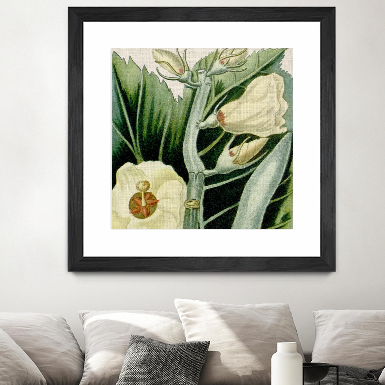 Cropped Turpin Tropicals III by Vision Studio on GIANT ART - botanical & floral