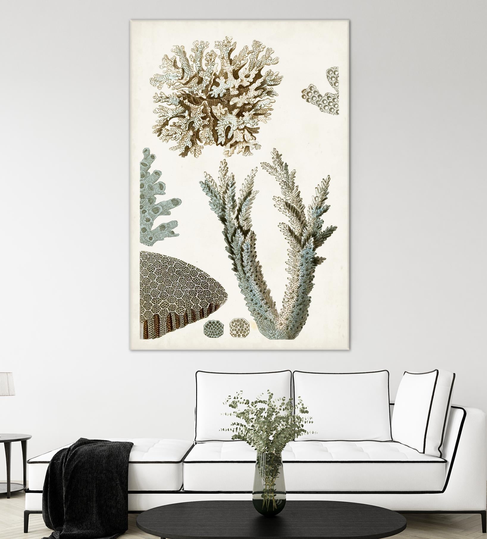Coastal Curiosity VI by Unknown on GIANT ART - beige coastal & tropical sea