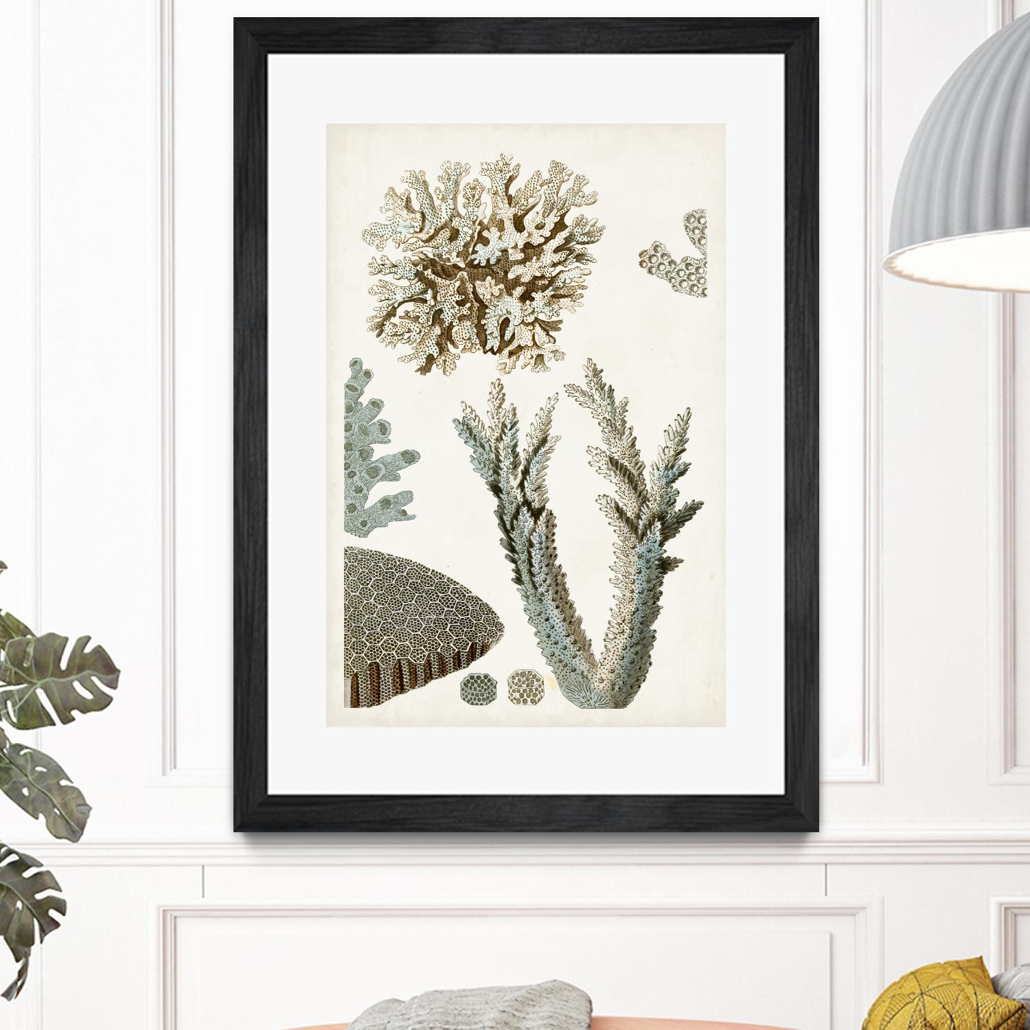 Coastal Curiosity VI by Unknown on GIANT ART - beige coastal & tropical sea