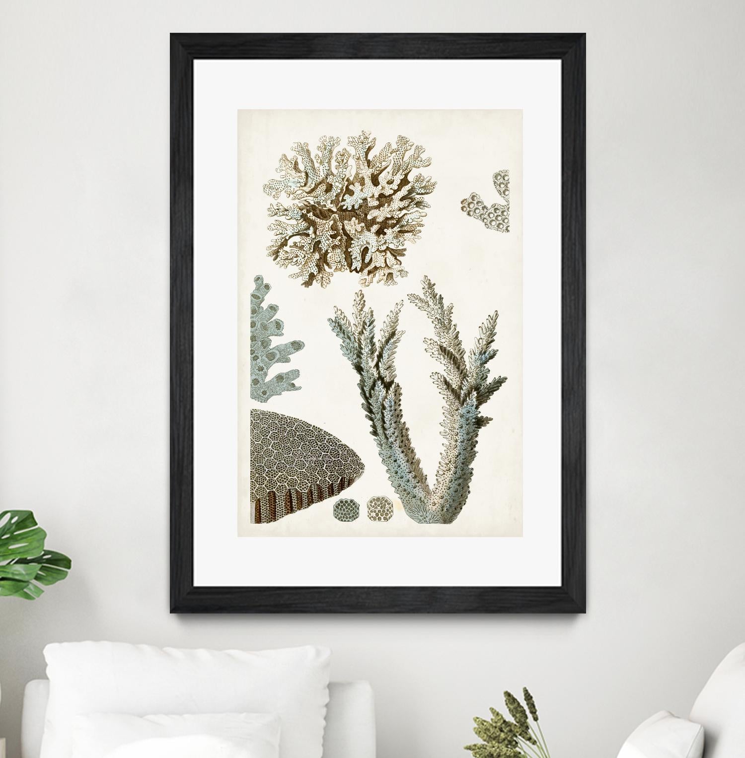 Coastal Curiosity VI by Unknown on GIANT ART - beige coastal & tropical sea