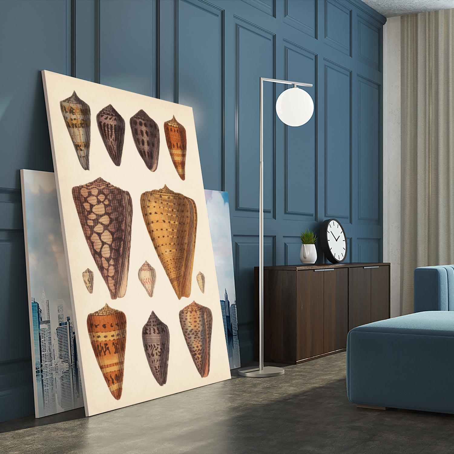 Antique Cone Shells I by Unknown on GIANT ART - orange beach