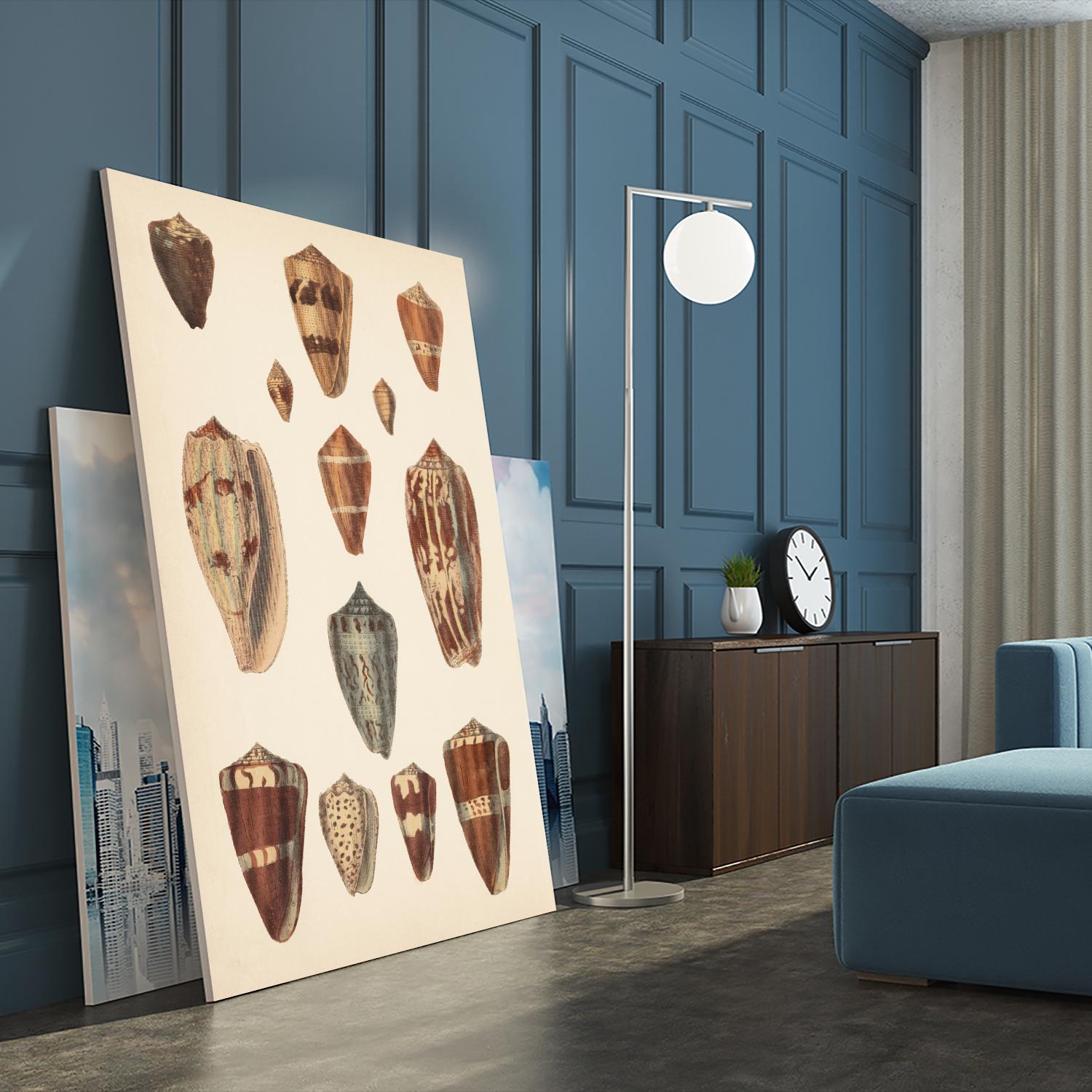 Antique Cone Shells II by Unknown on GIANT ART - beige seashell