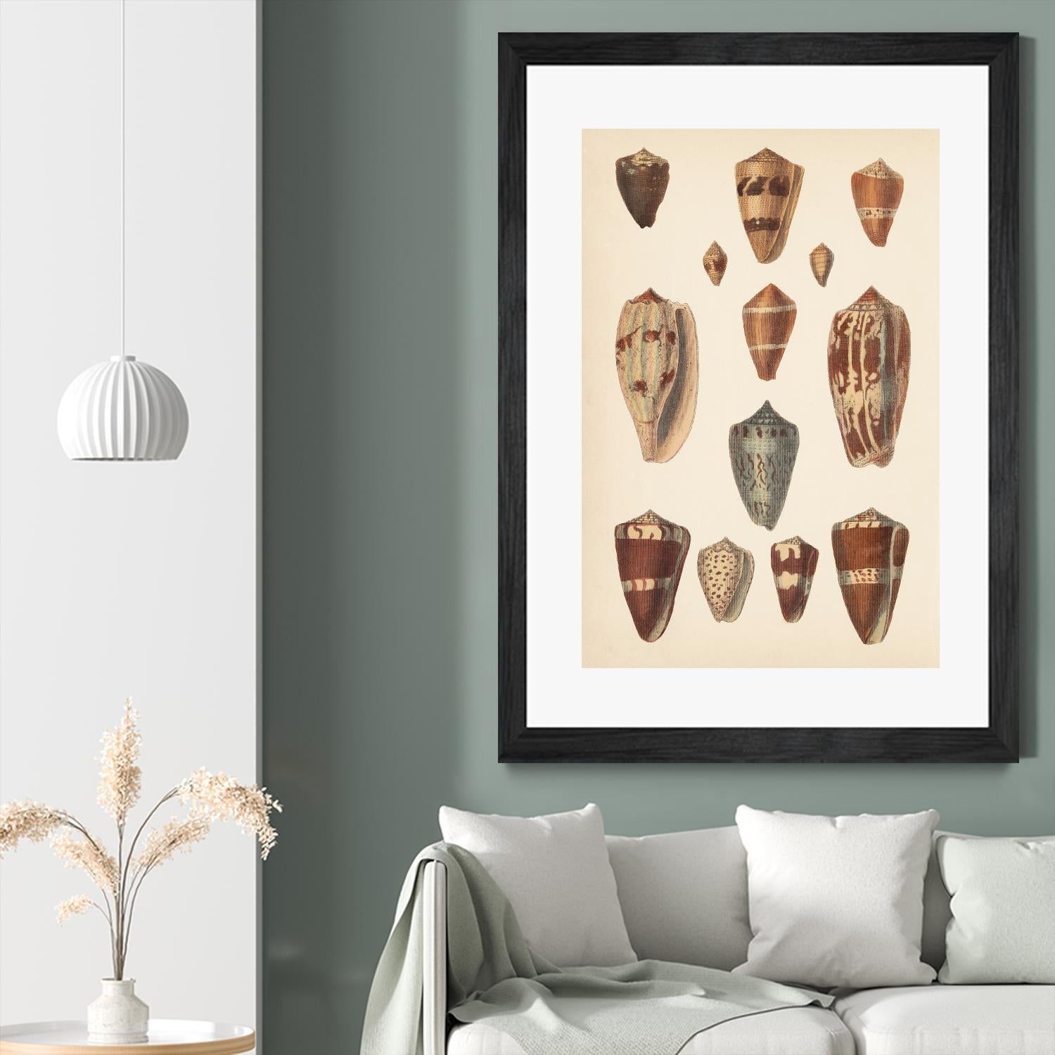 Antique Cone Shells II by Unknown on GIANT ART - beige seashell