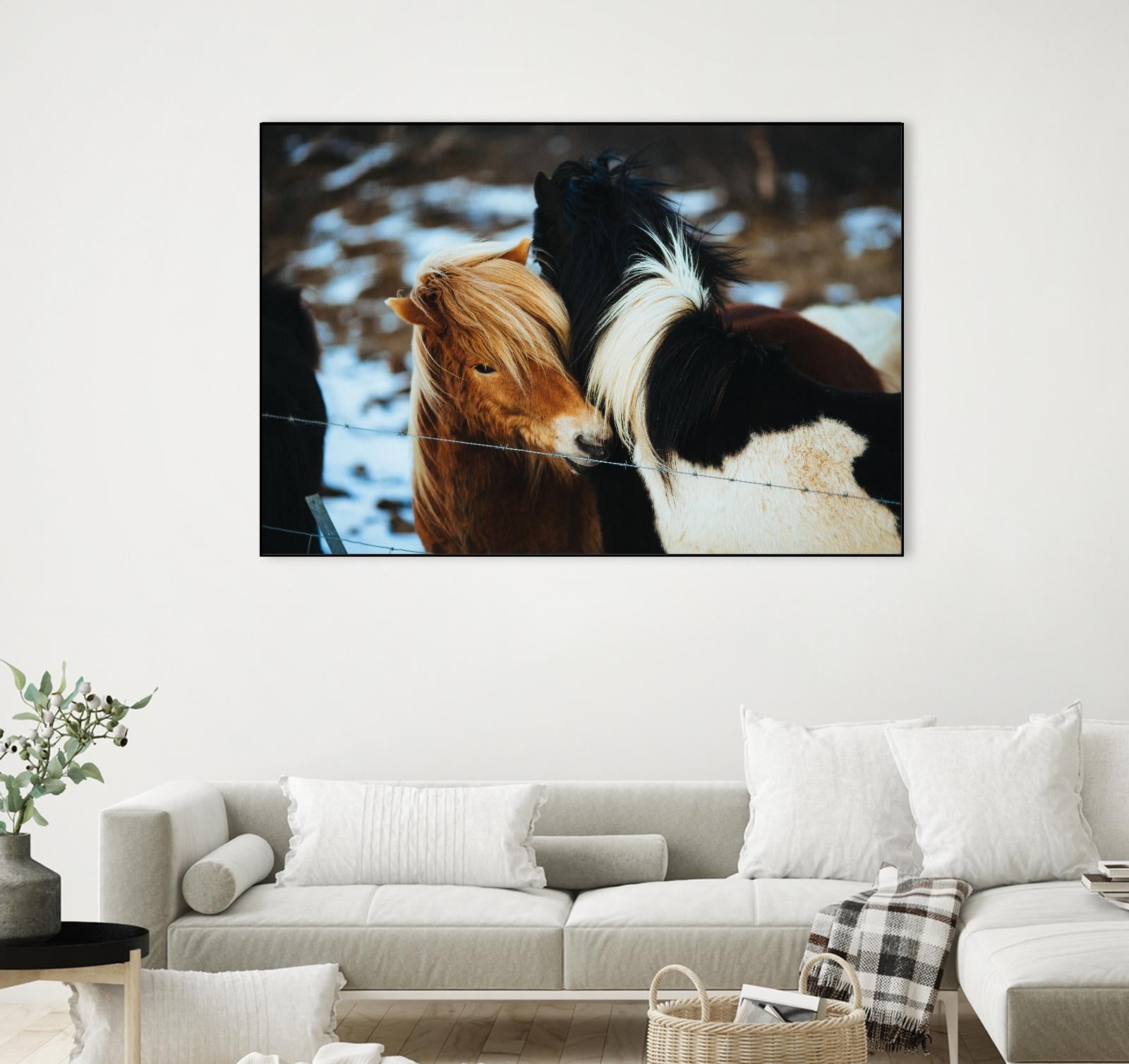 Poneys by Pexels on GIANT ART - black animals