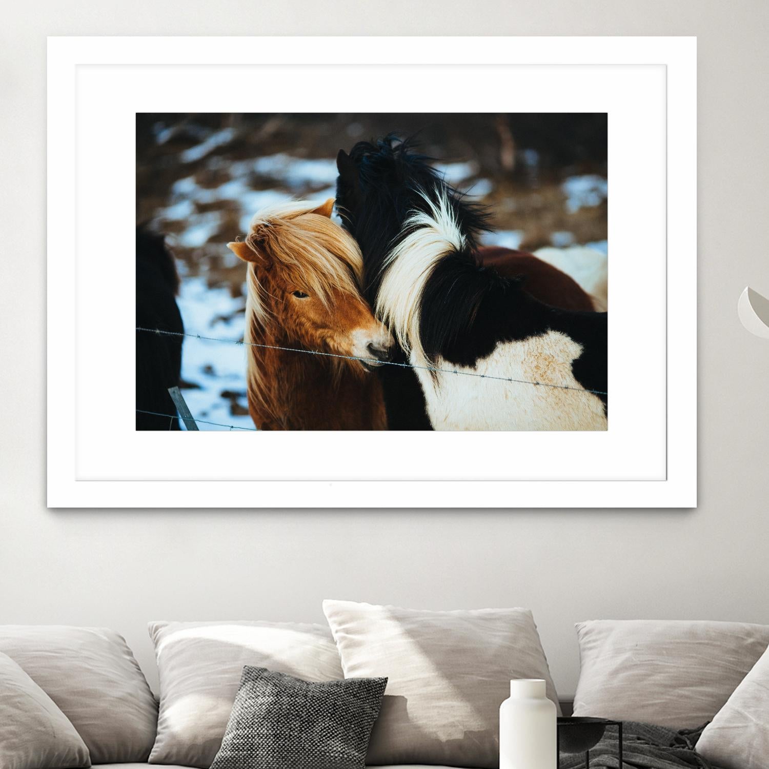 Poneys by Pexels on GIANT ART - black animals
