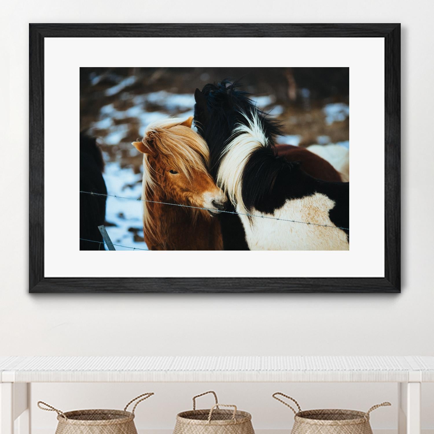 Poneys by Pexels on GIANT ART - black animals