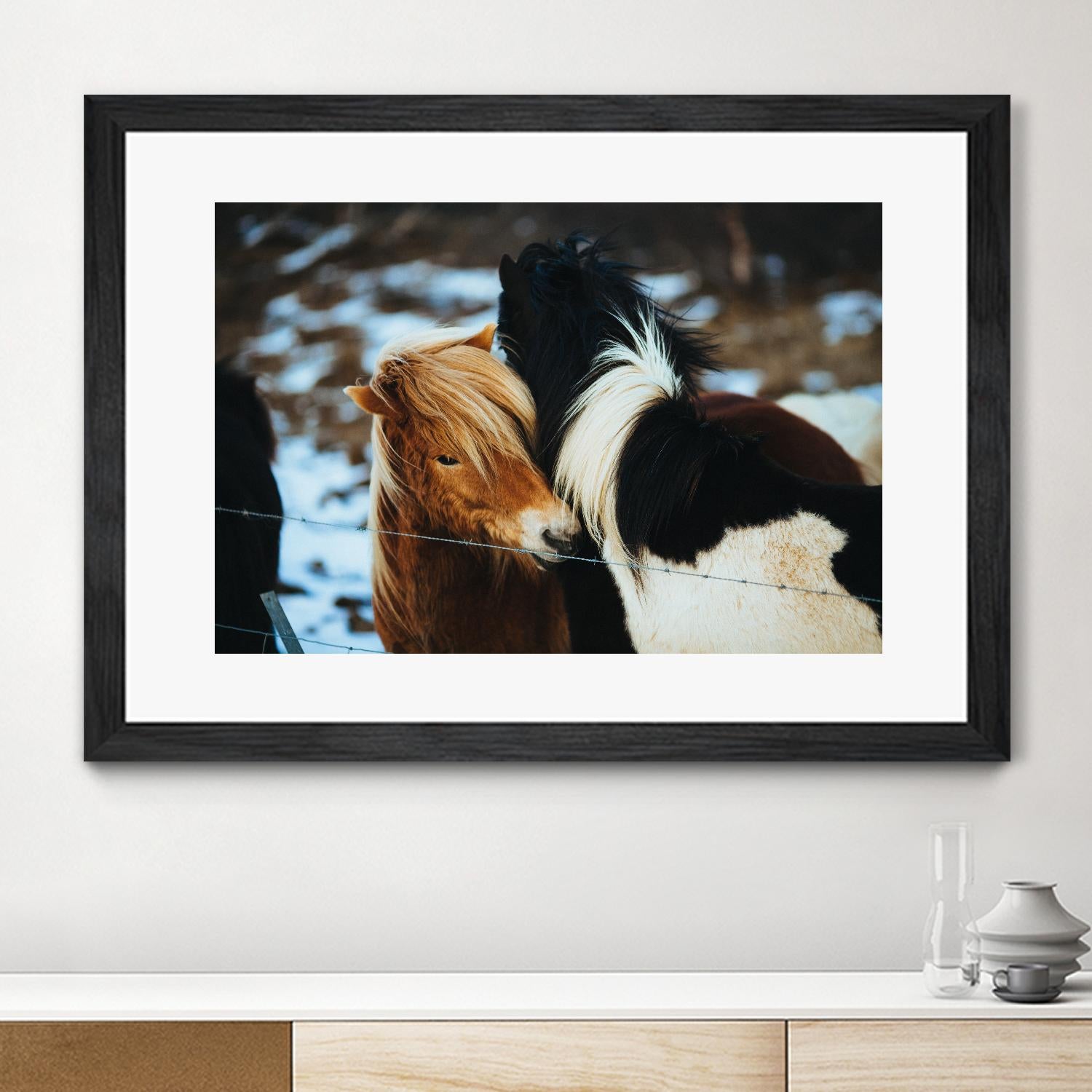 Poneys by Pexels on GIANT ART - black animals