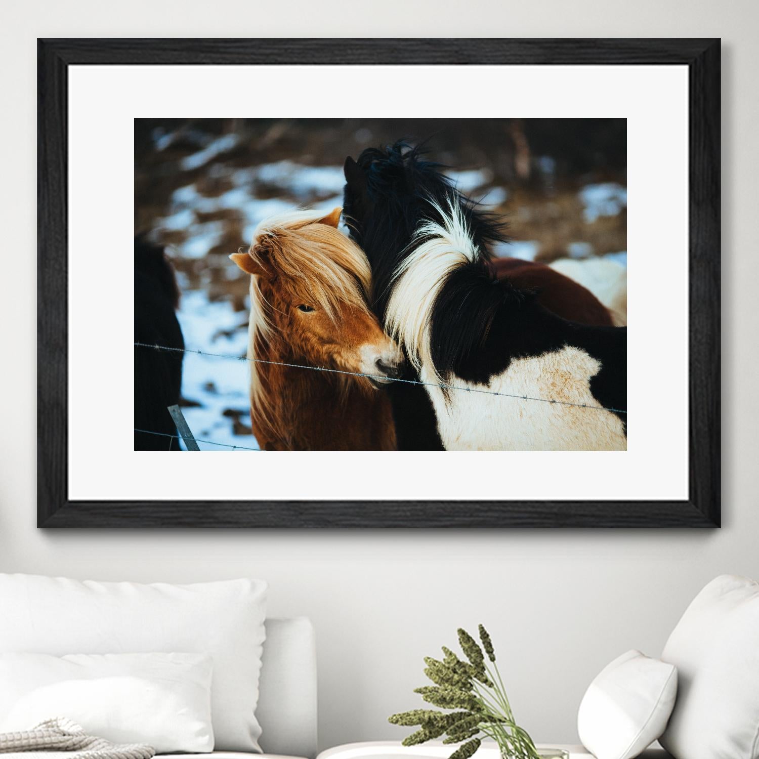 Poneys by Pexels on GIANT ART - black animals