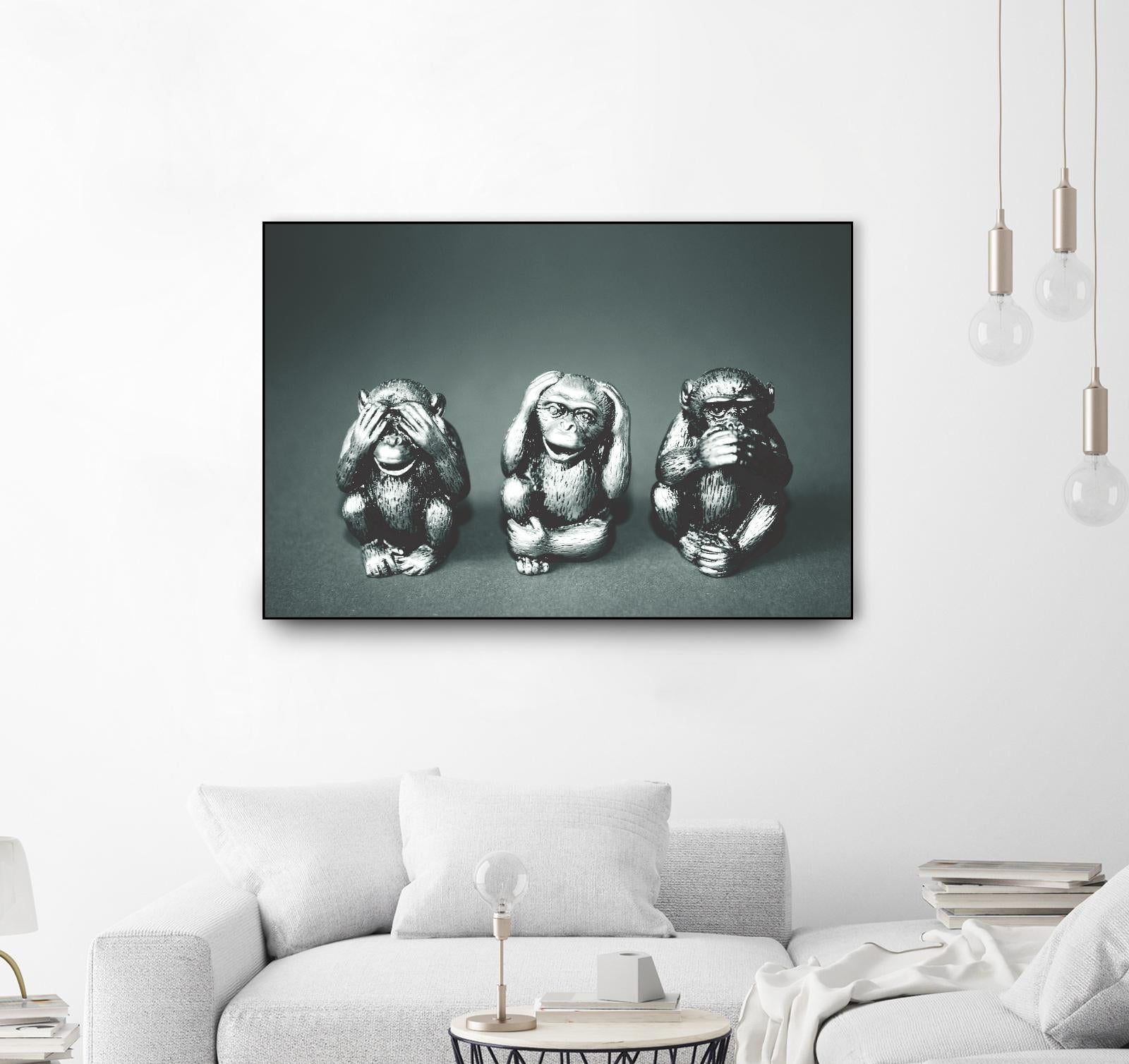 Wise monkeys by Pexels on GIANT ART - white animals
