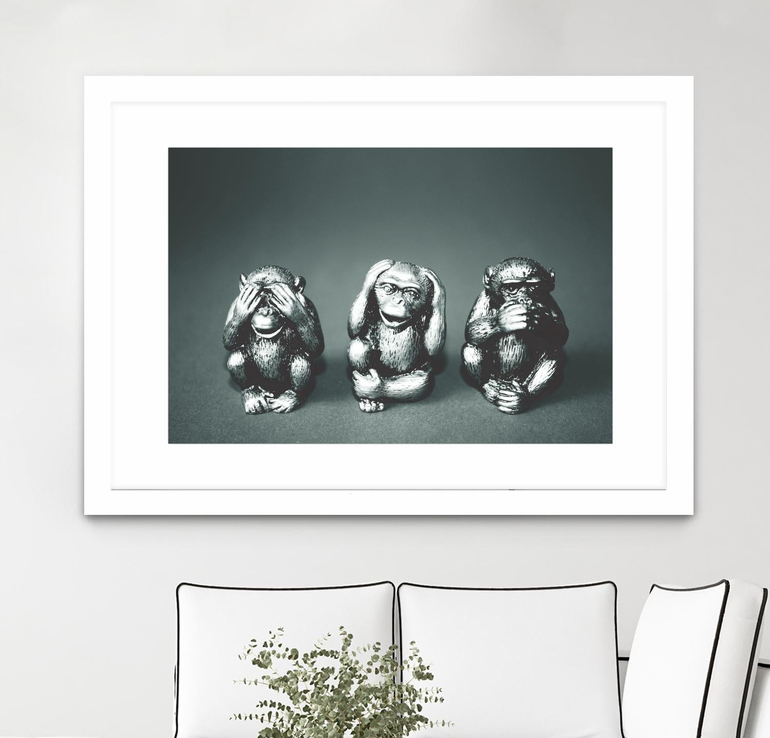 Wise monkeys by Pexels on GIANT ART - white animals