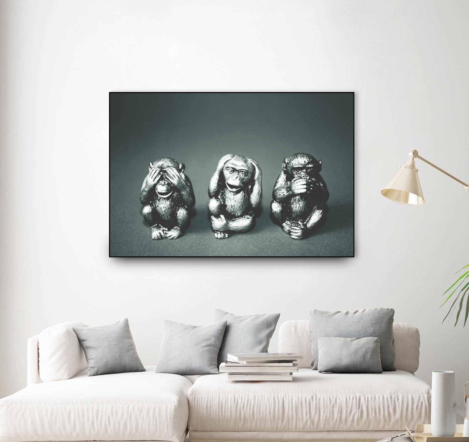 Wise monkeys by Pexels on GIANT ART - white animals