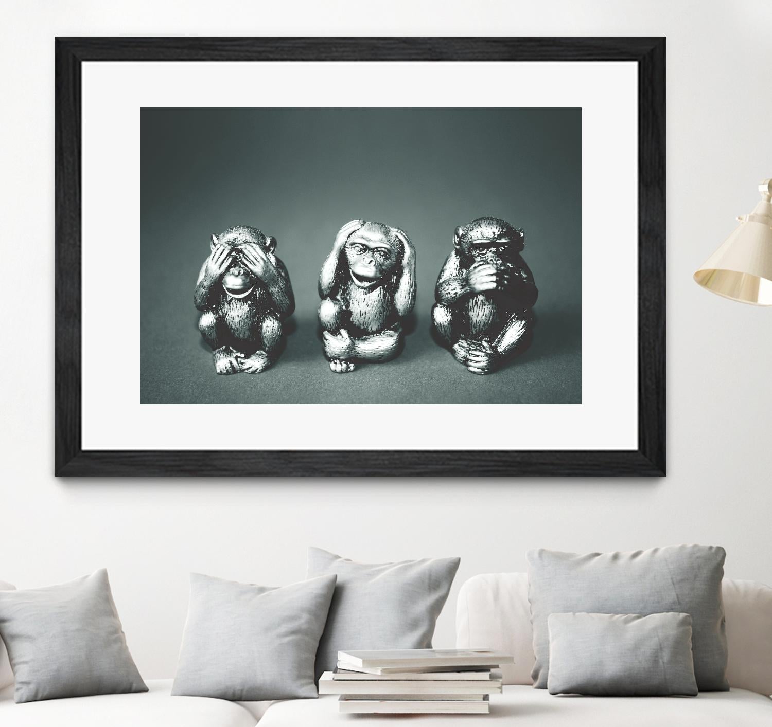 Wise monkeys by Pexels on GIANT ART - white animals