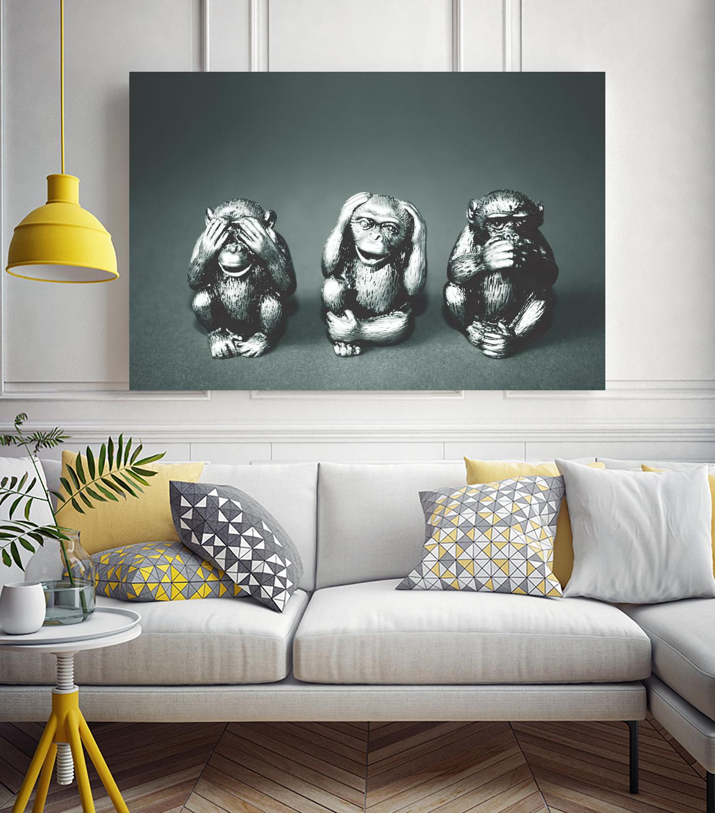Wise monkeys by Pexels on GIANT ART - white animals