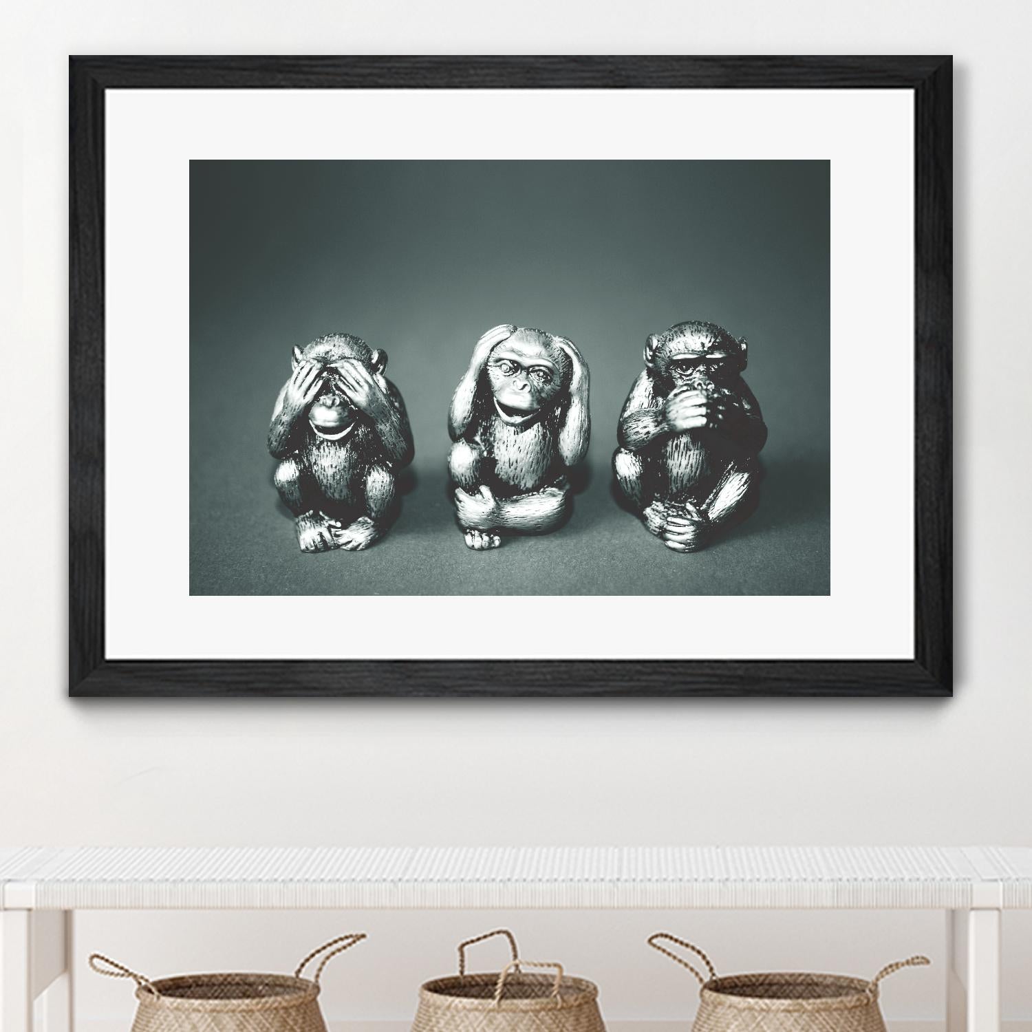 Wise monkeys by Pexels on GIANT ART - white animals