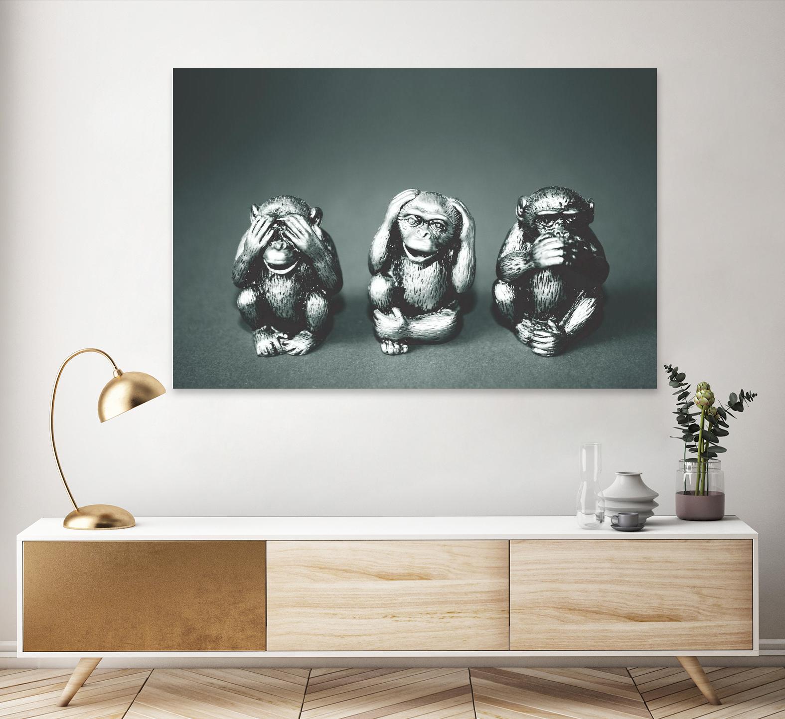 Wise monkeys by Pexels on GIANT ART - white animals